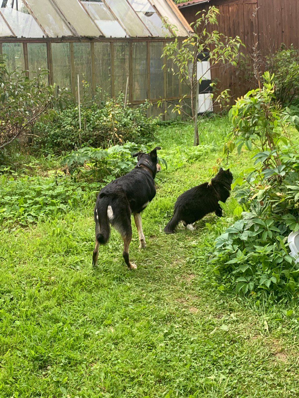 image-9
