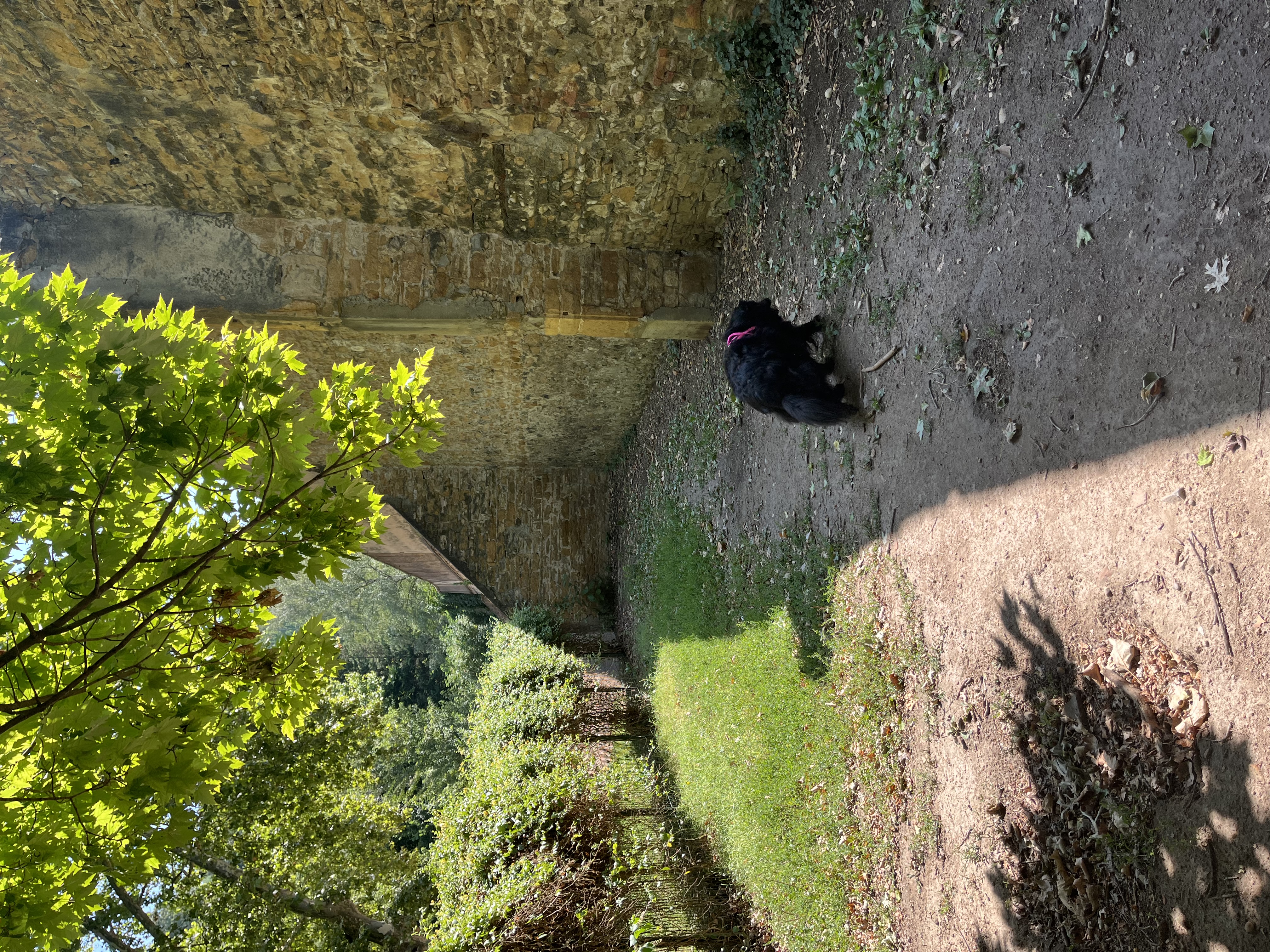 image-10
