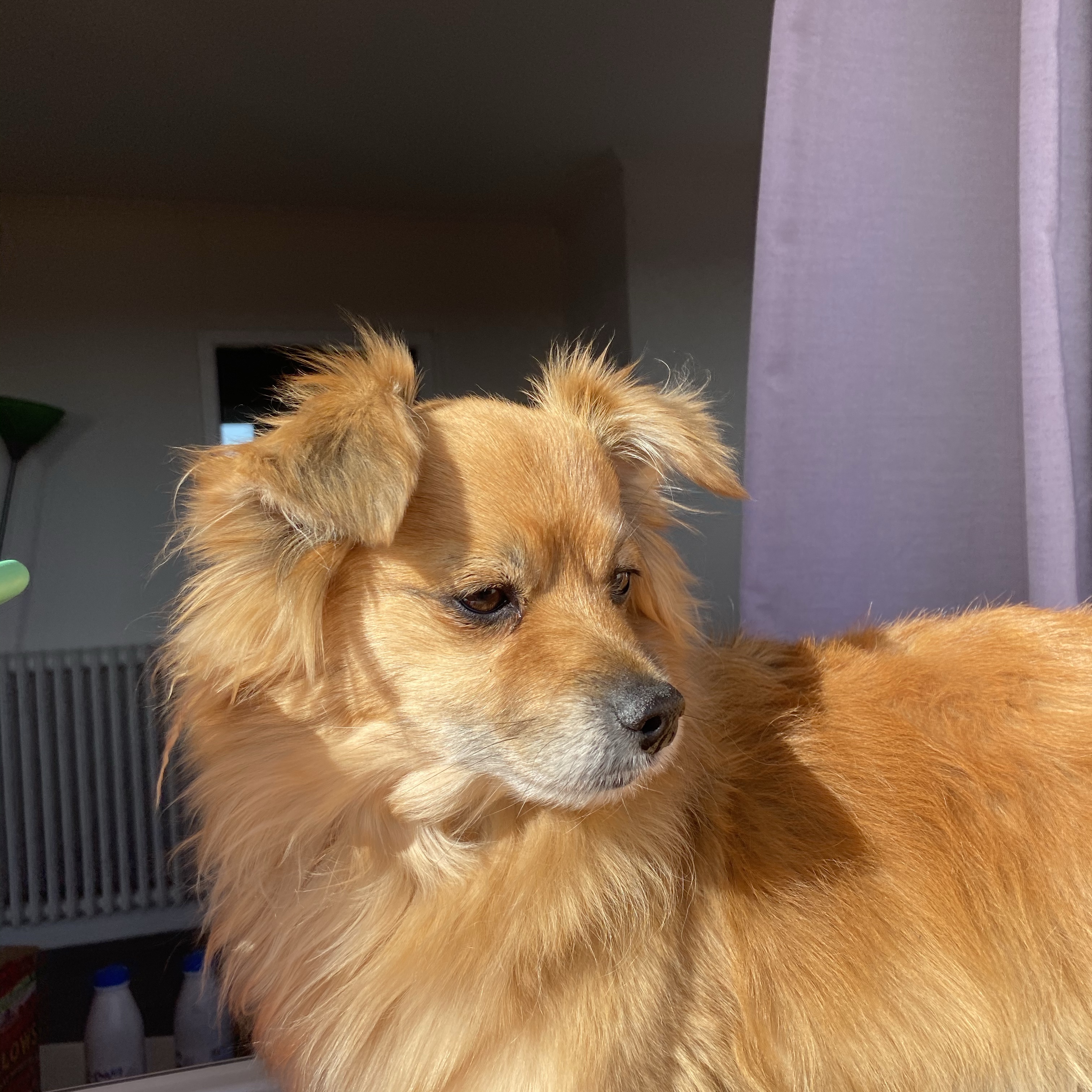 Charlie