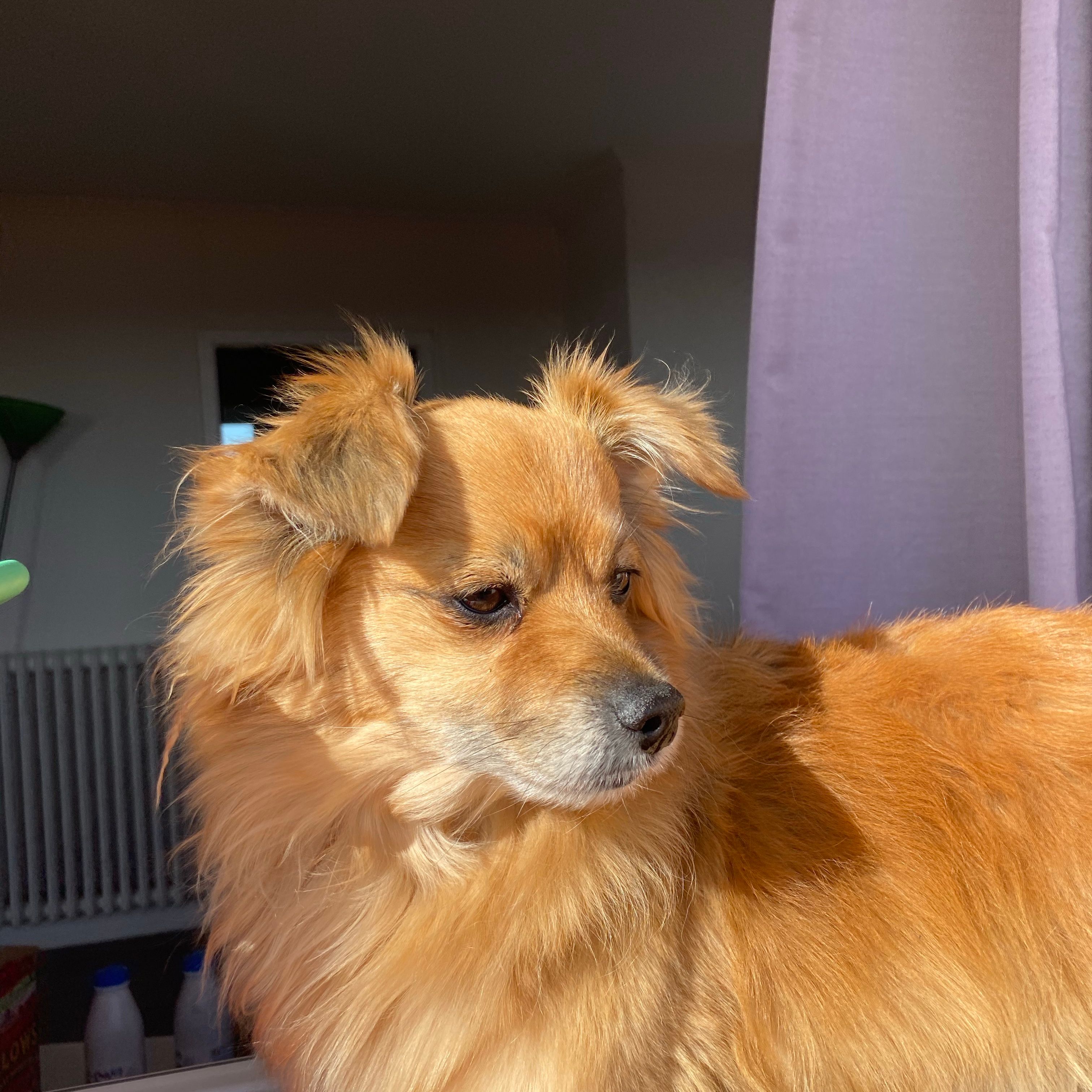 Charlie