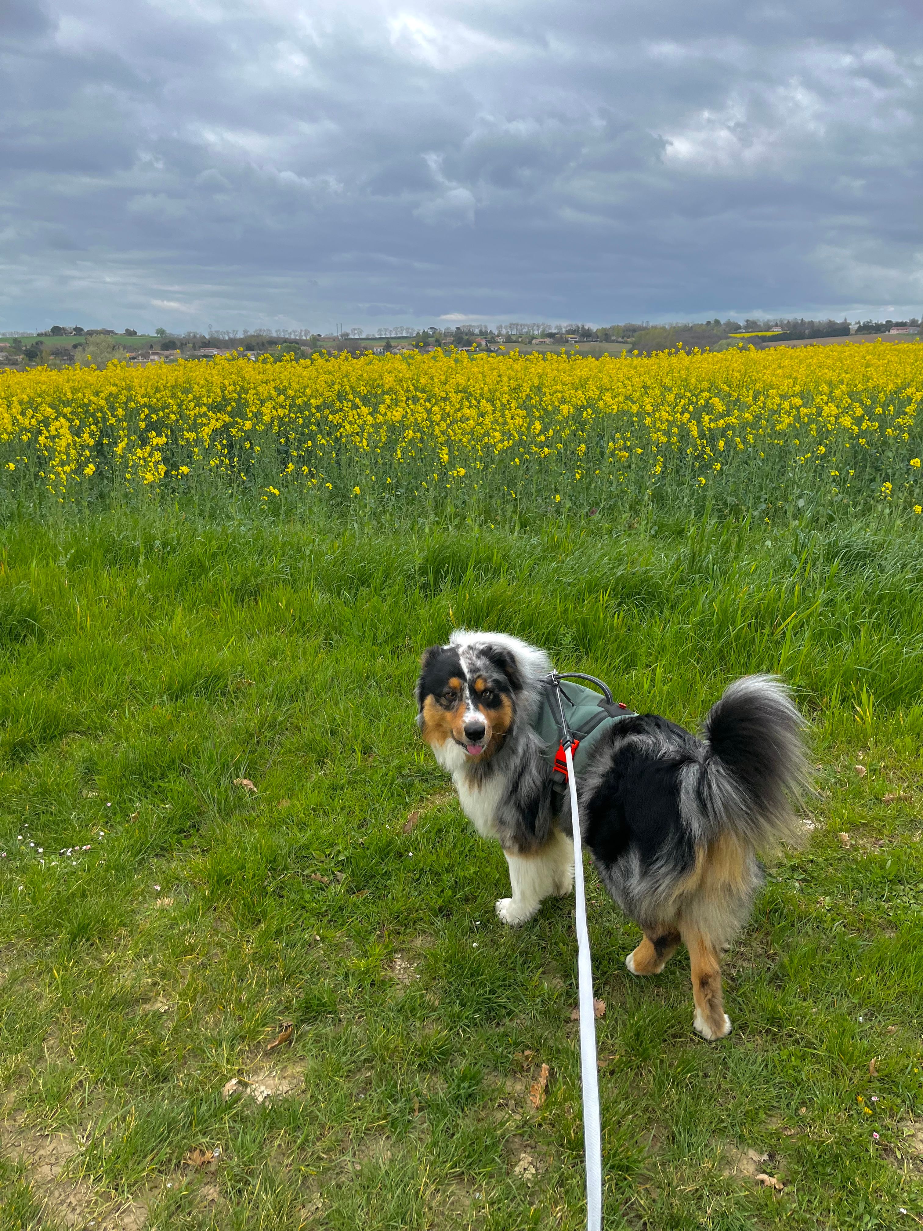 image-0