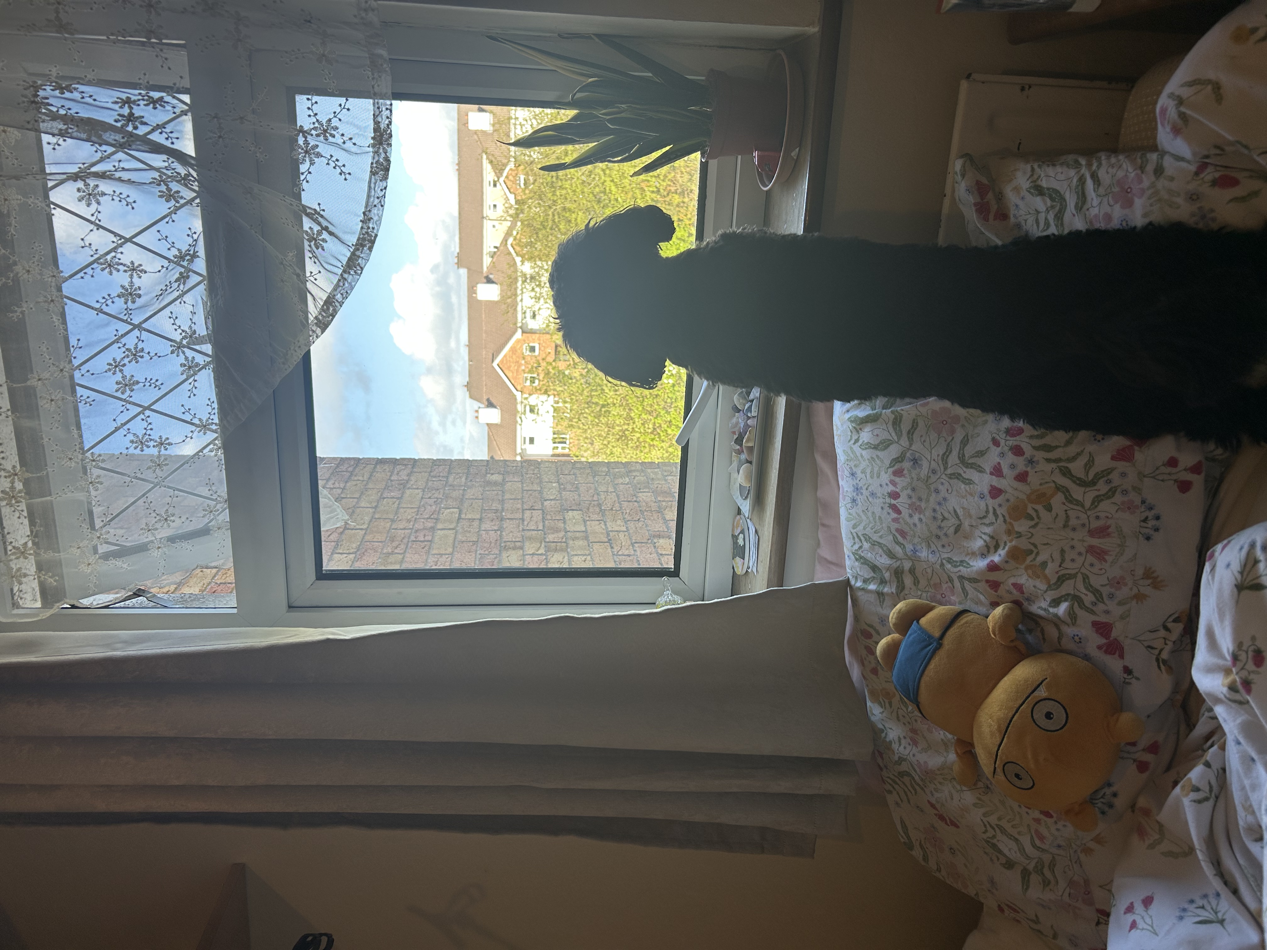 image-14