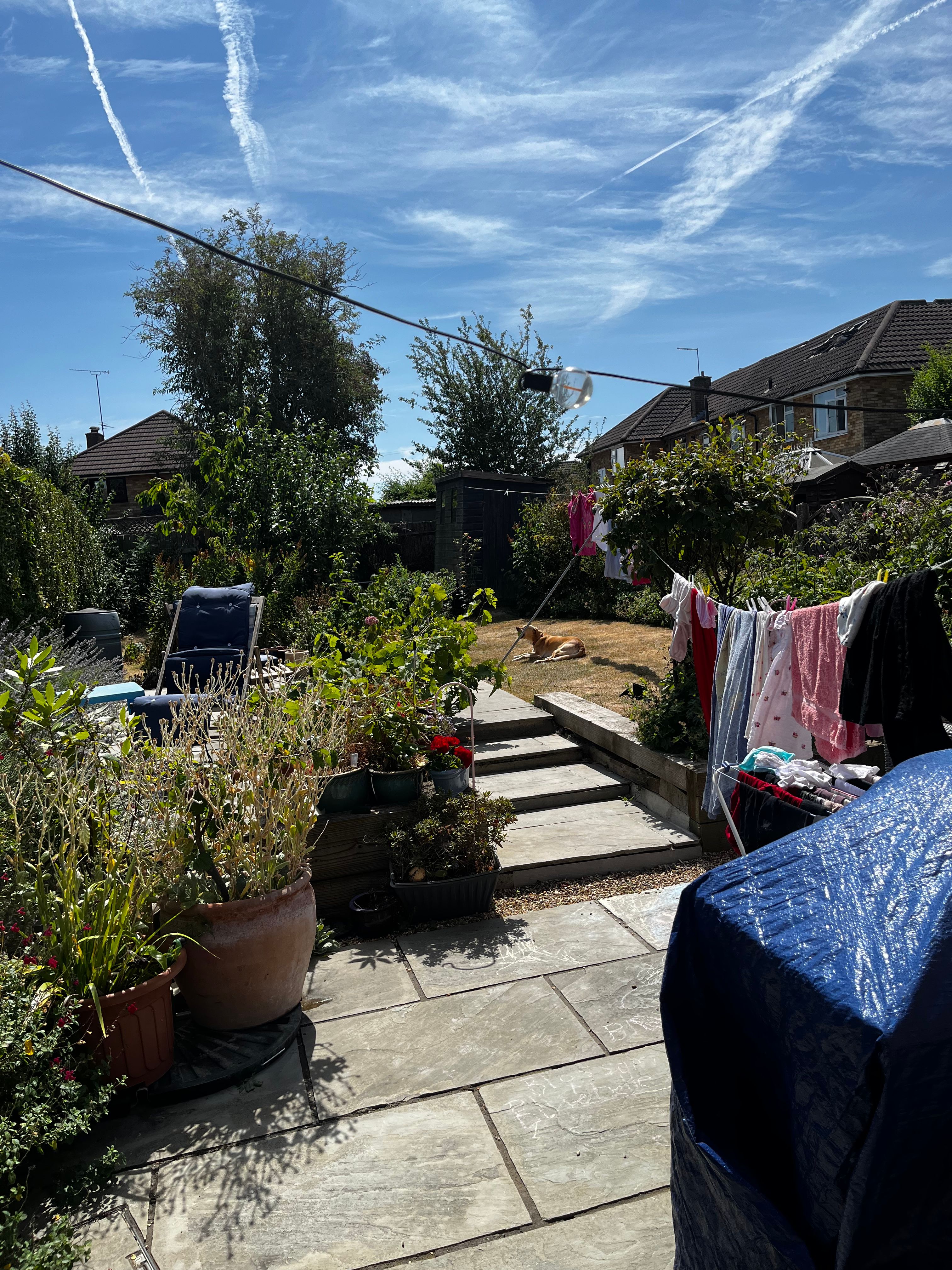 image-20