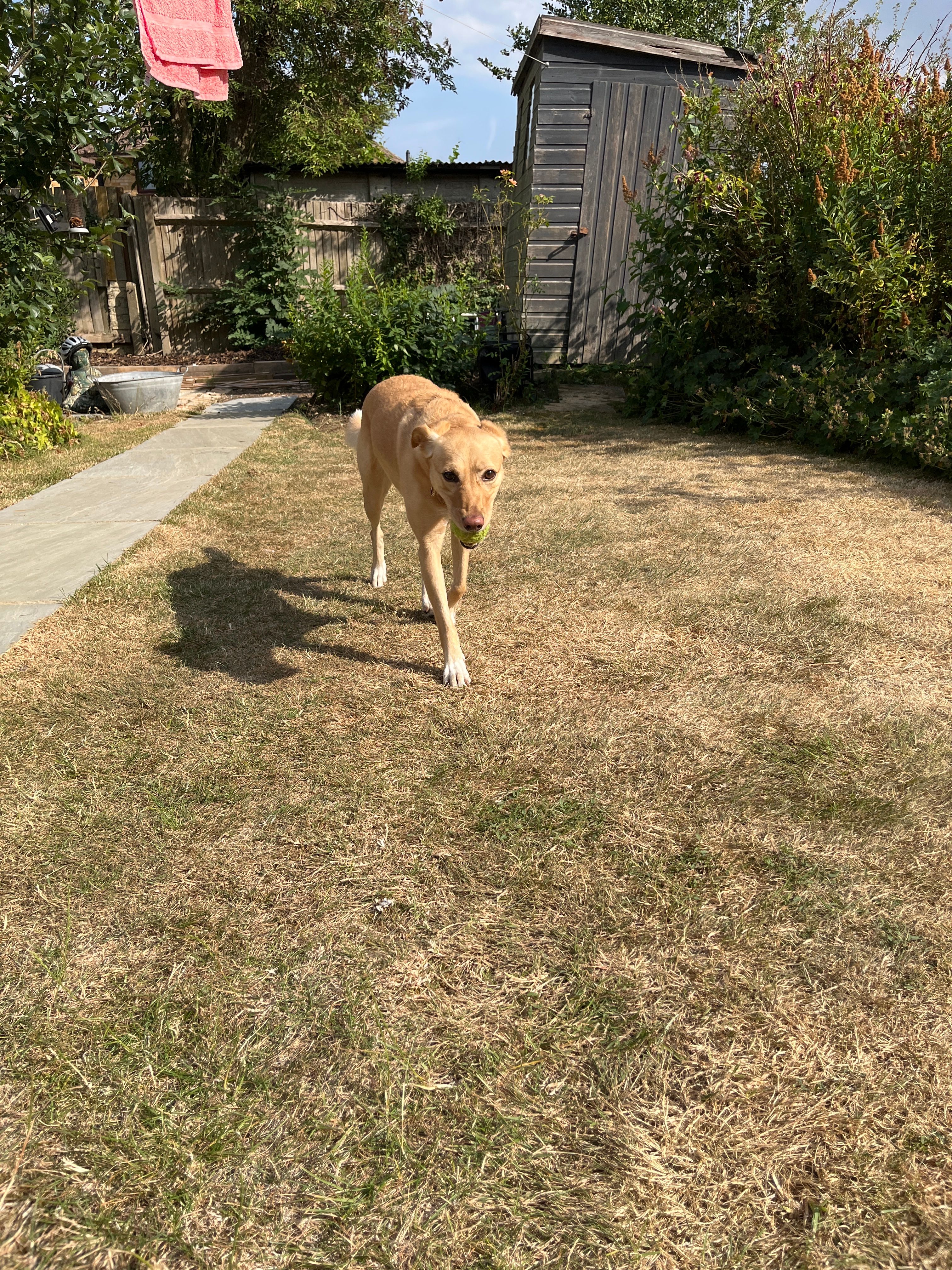 image-10