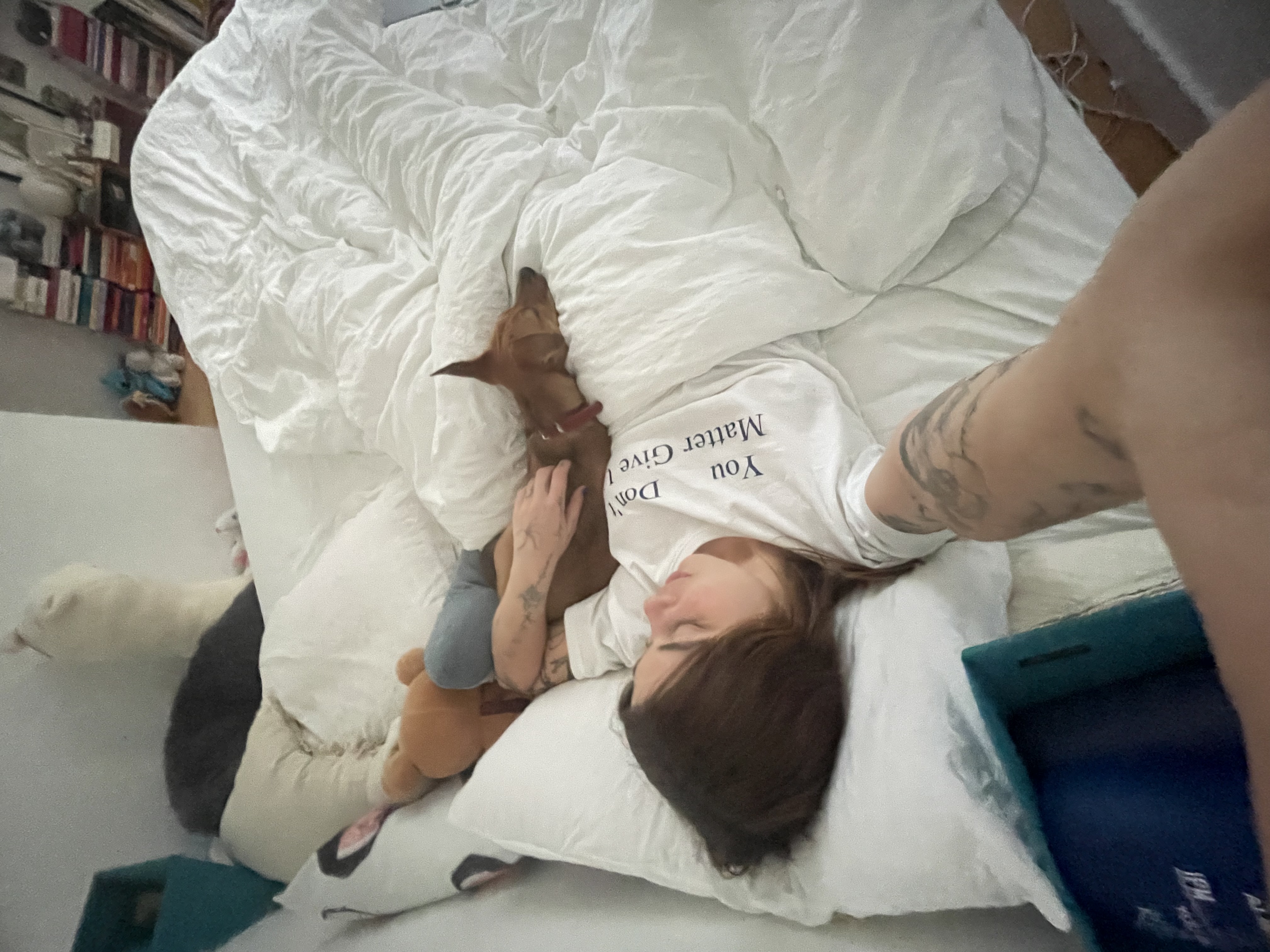 image-4