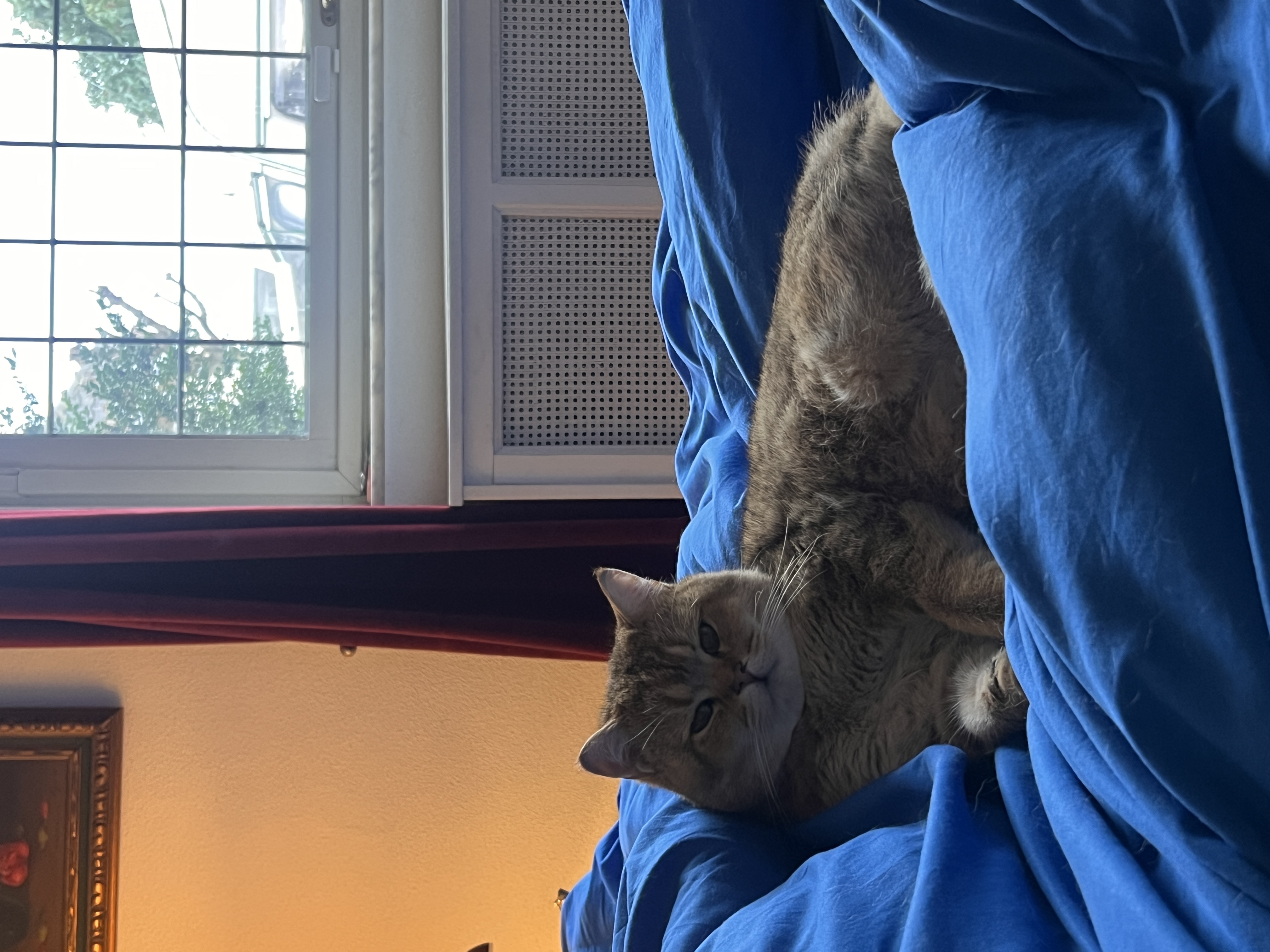 image-16