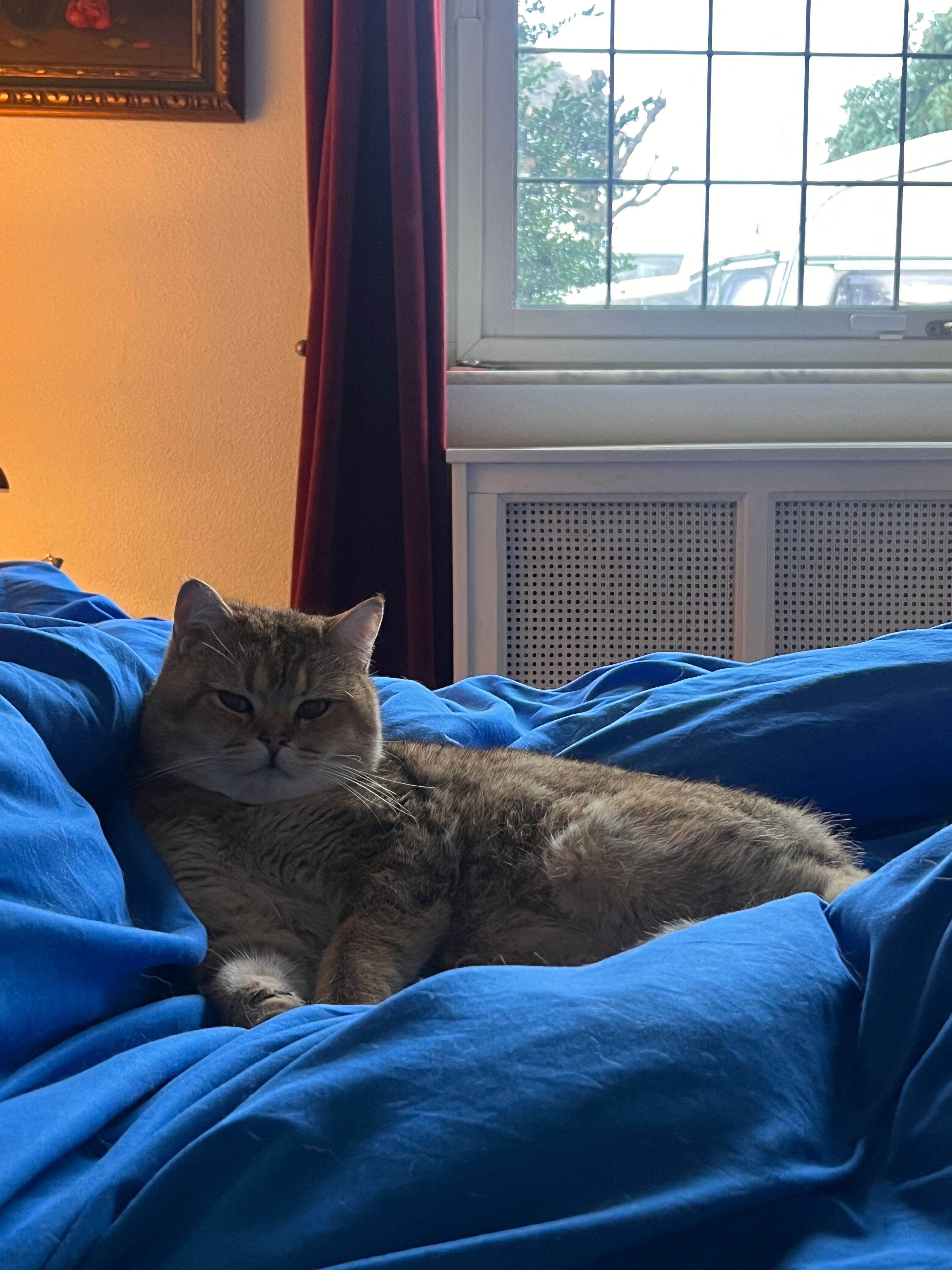 image-16