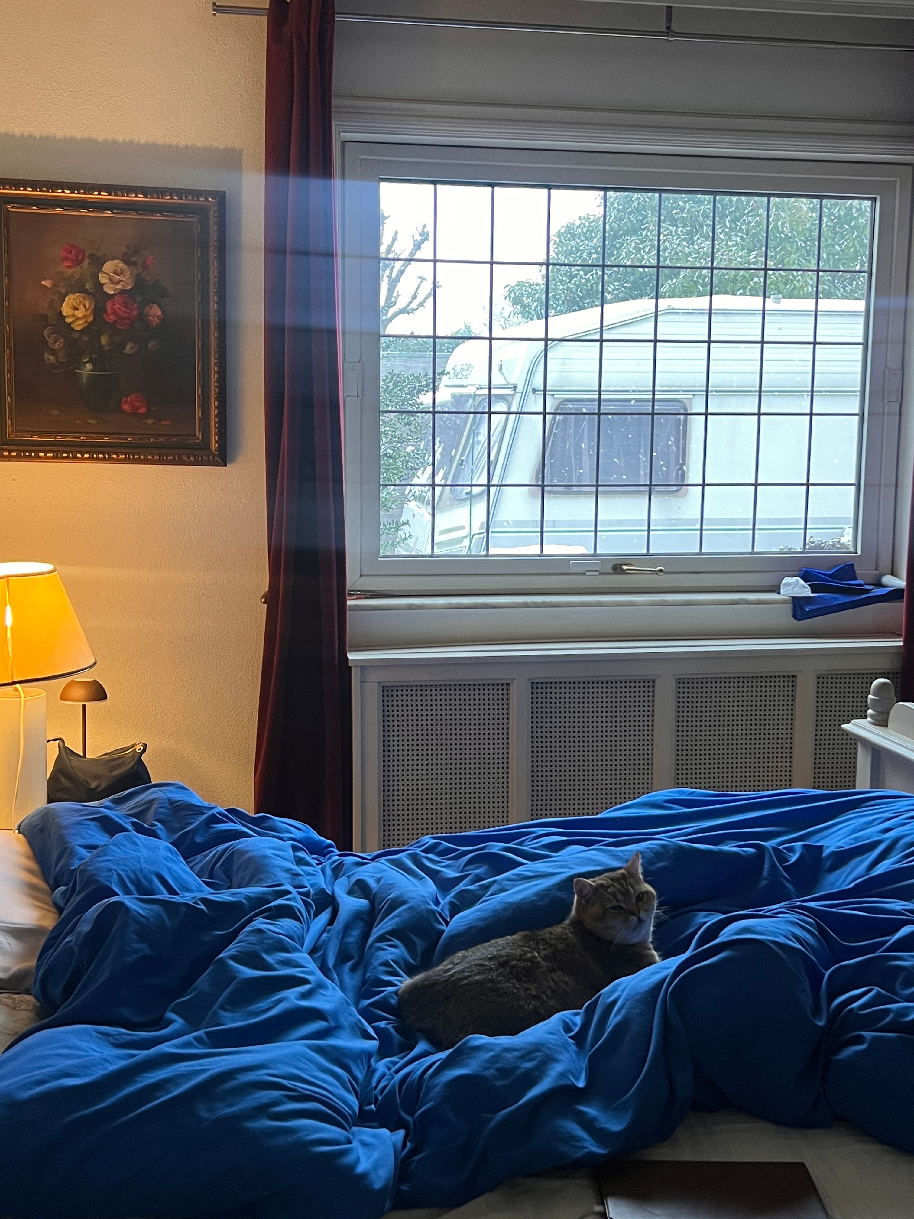 image-18