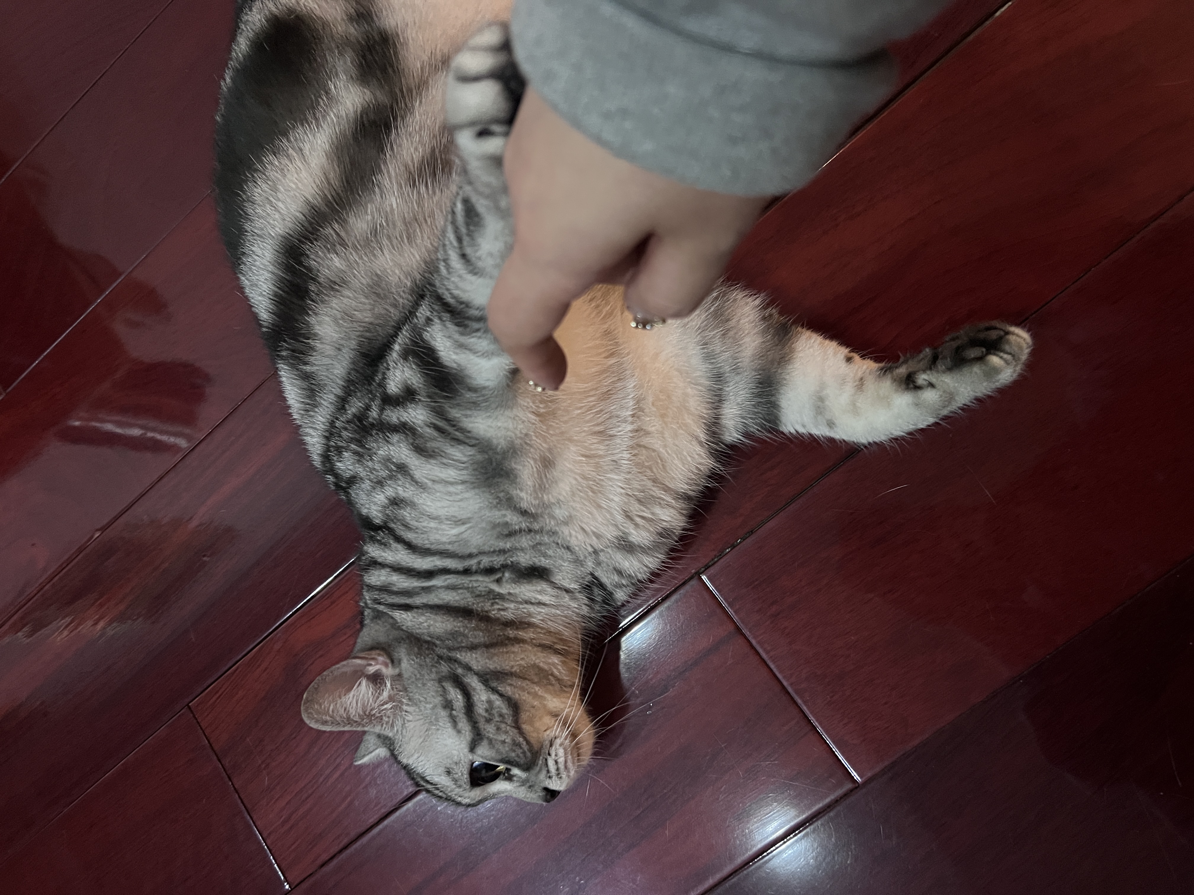 image-8