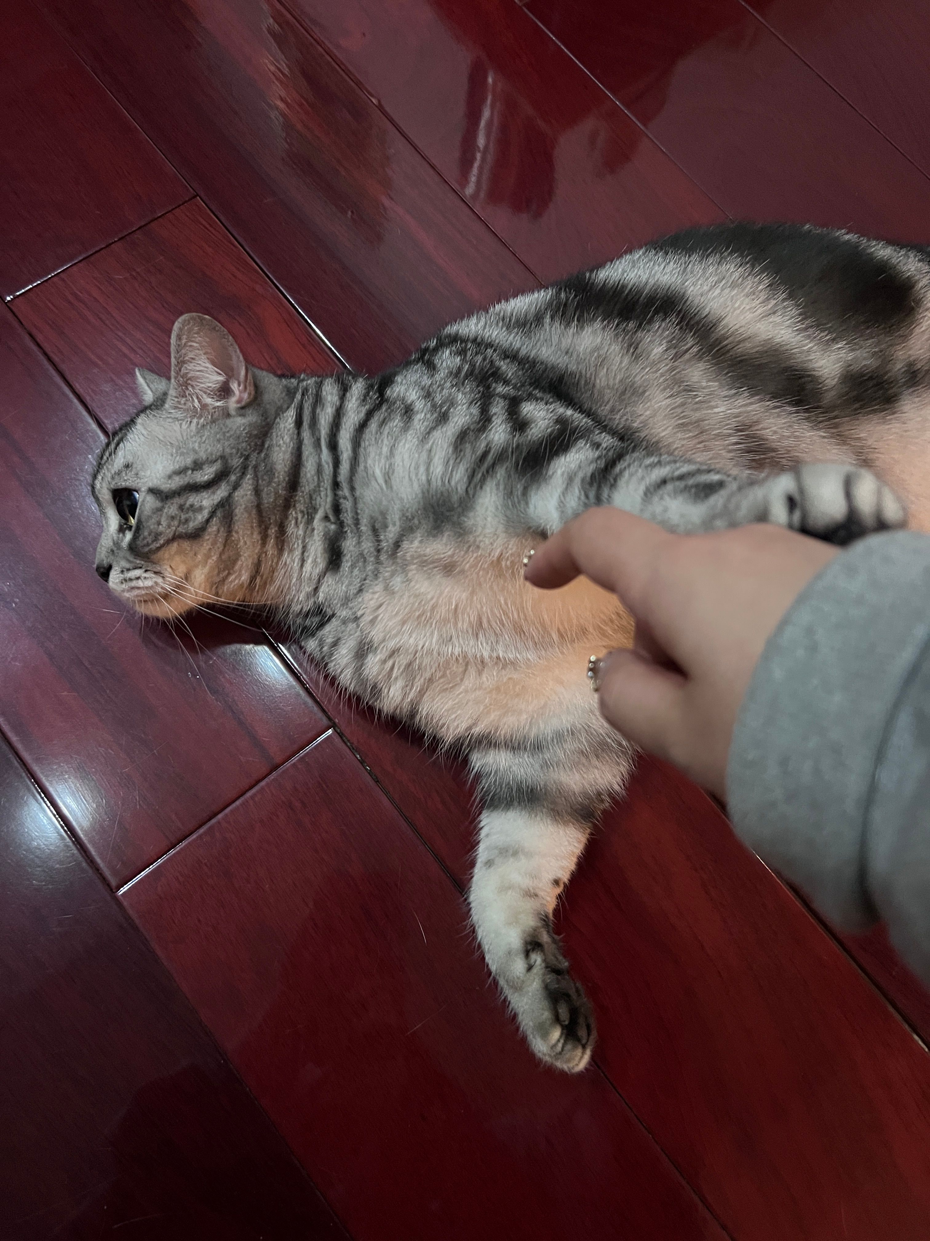 image-8