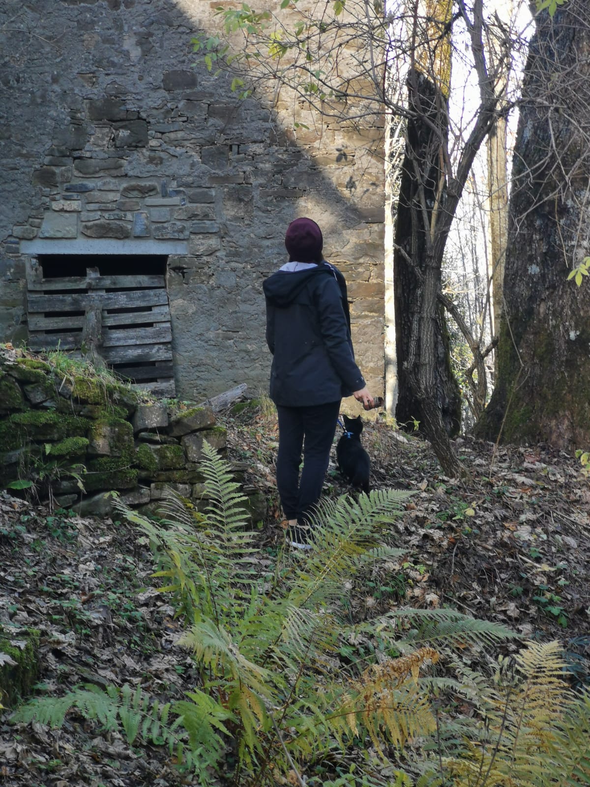 image-5