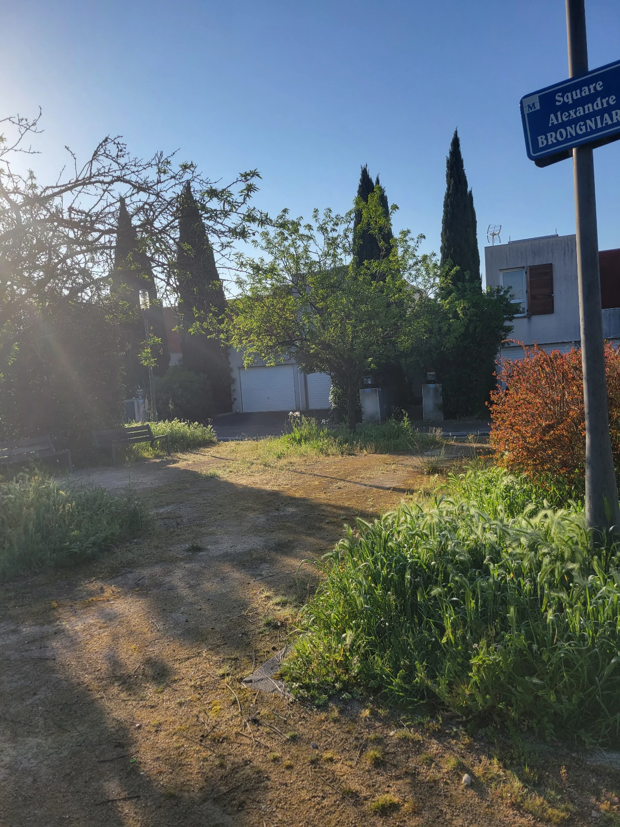 image-17