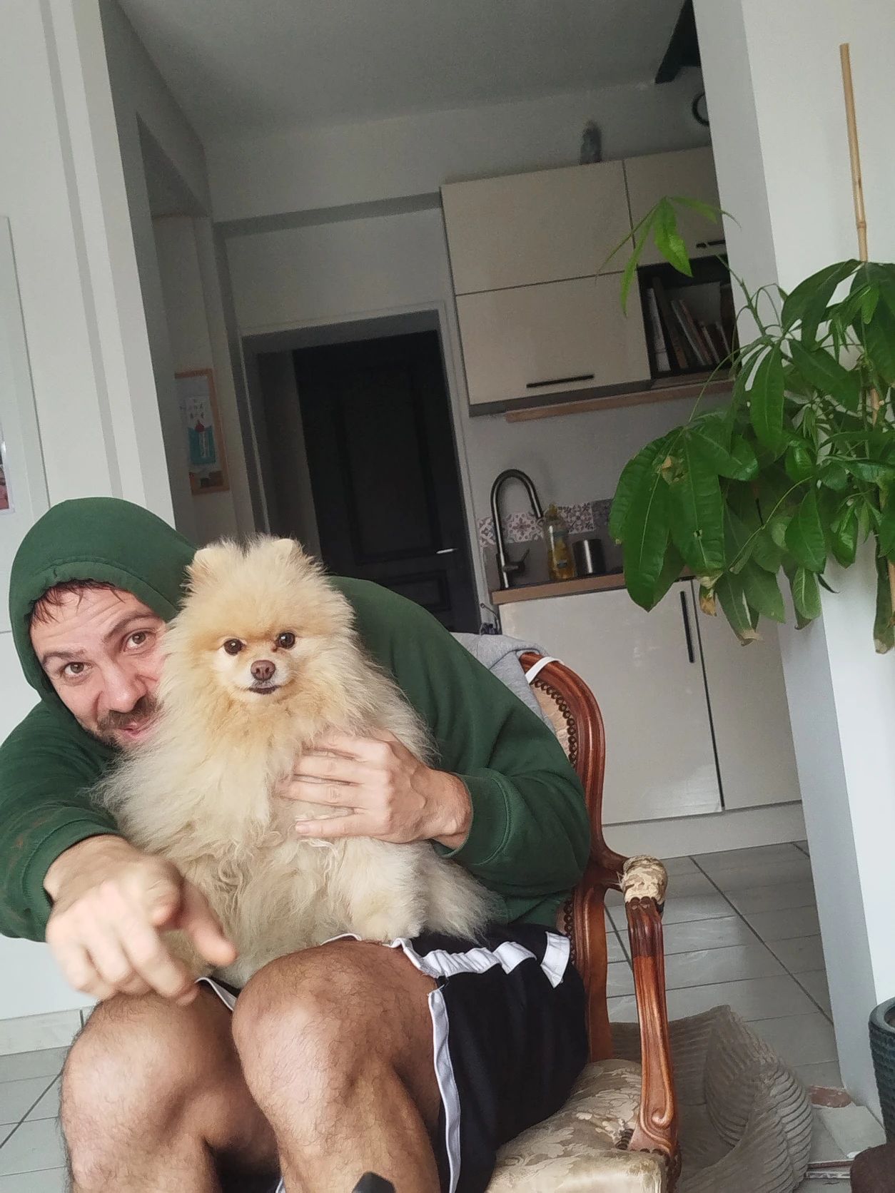 image-7