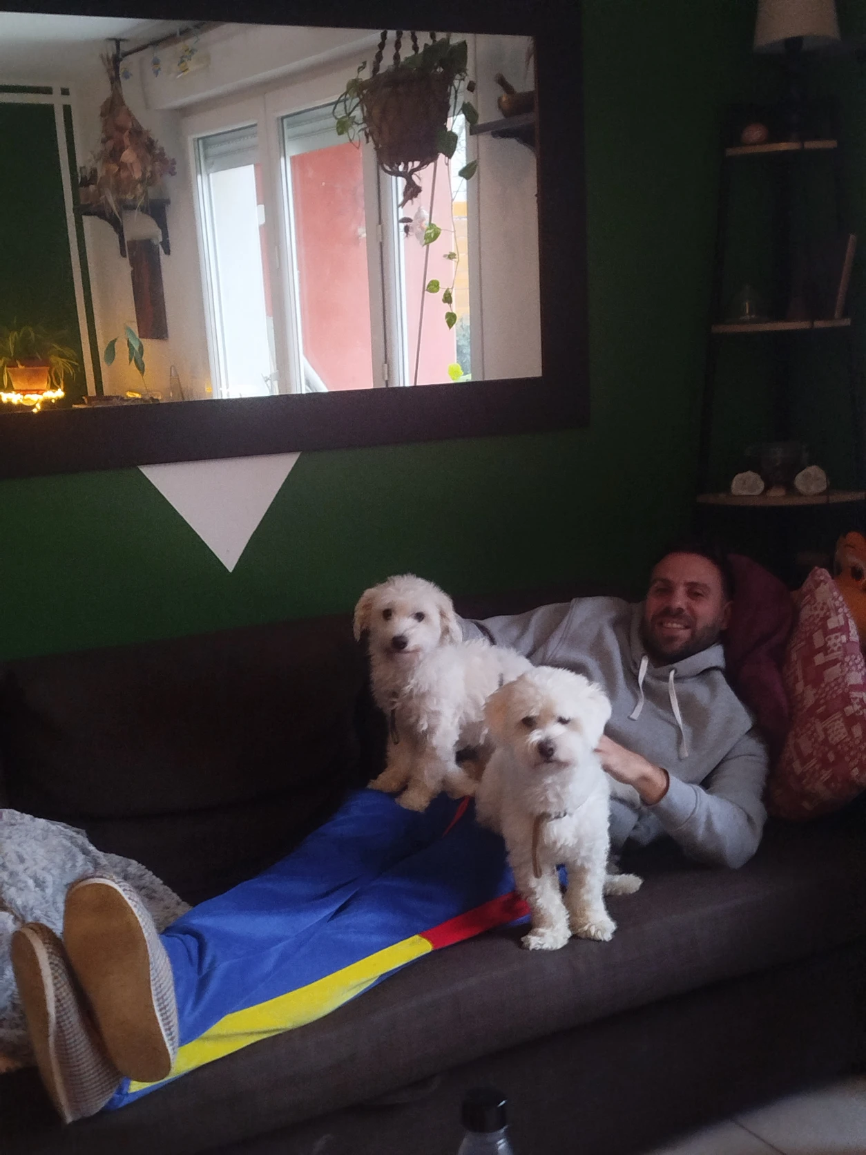 image-8