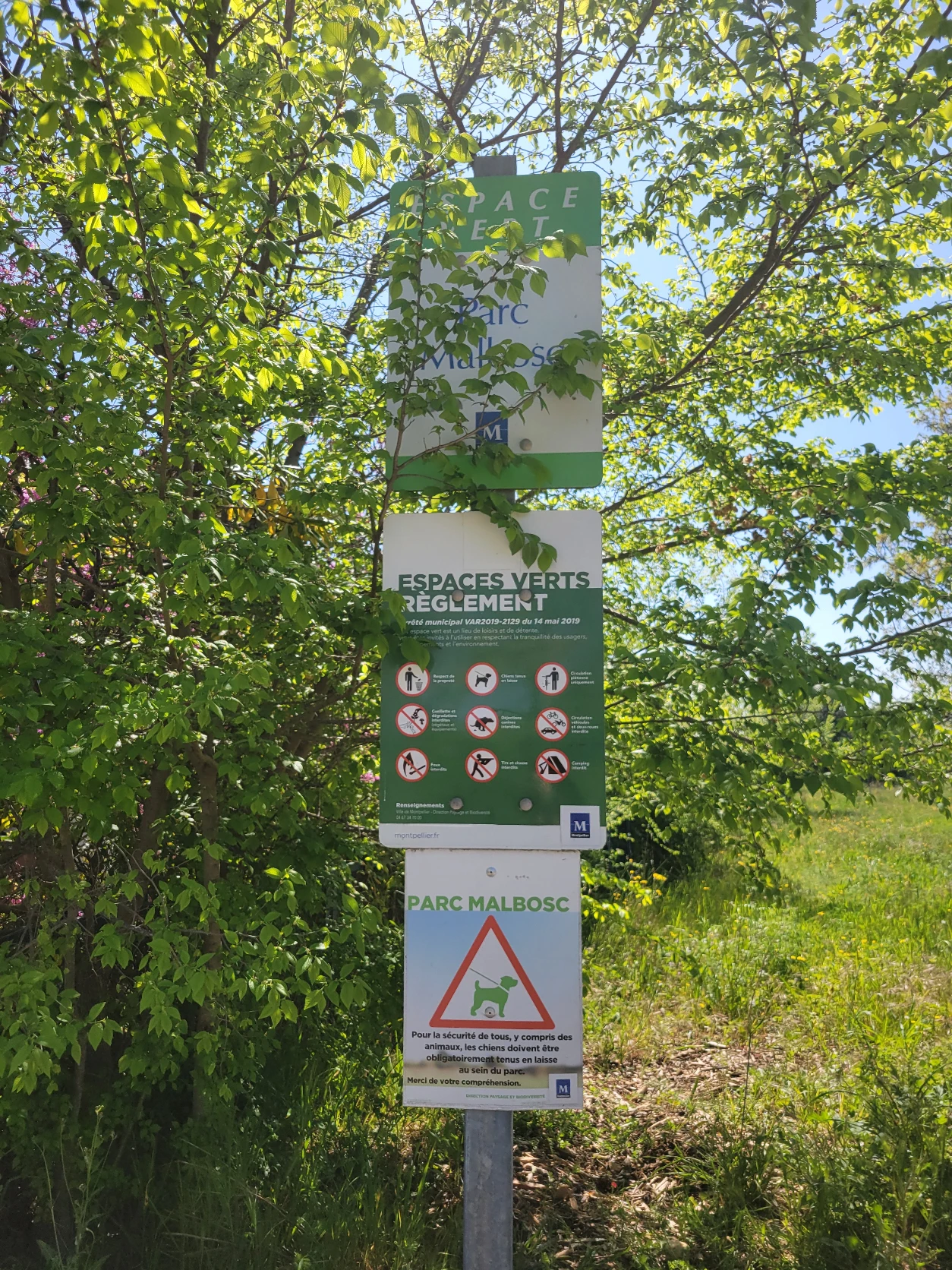 image-20