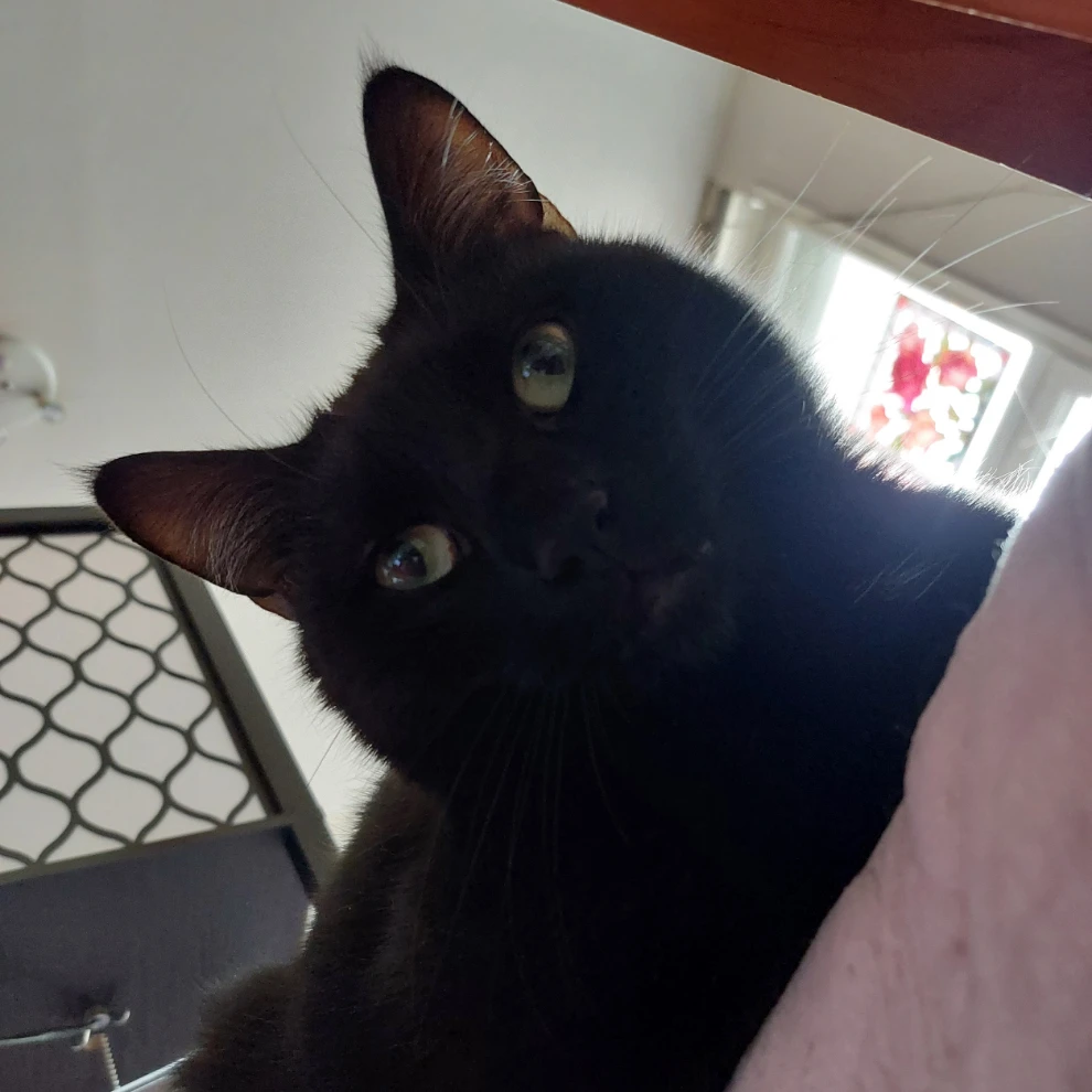 salem
