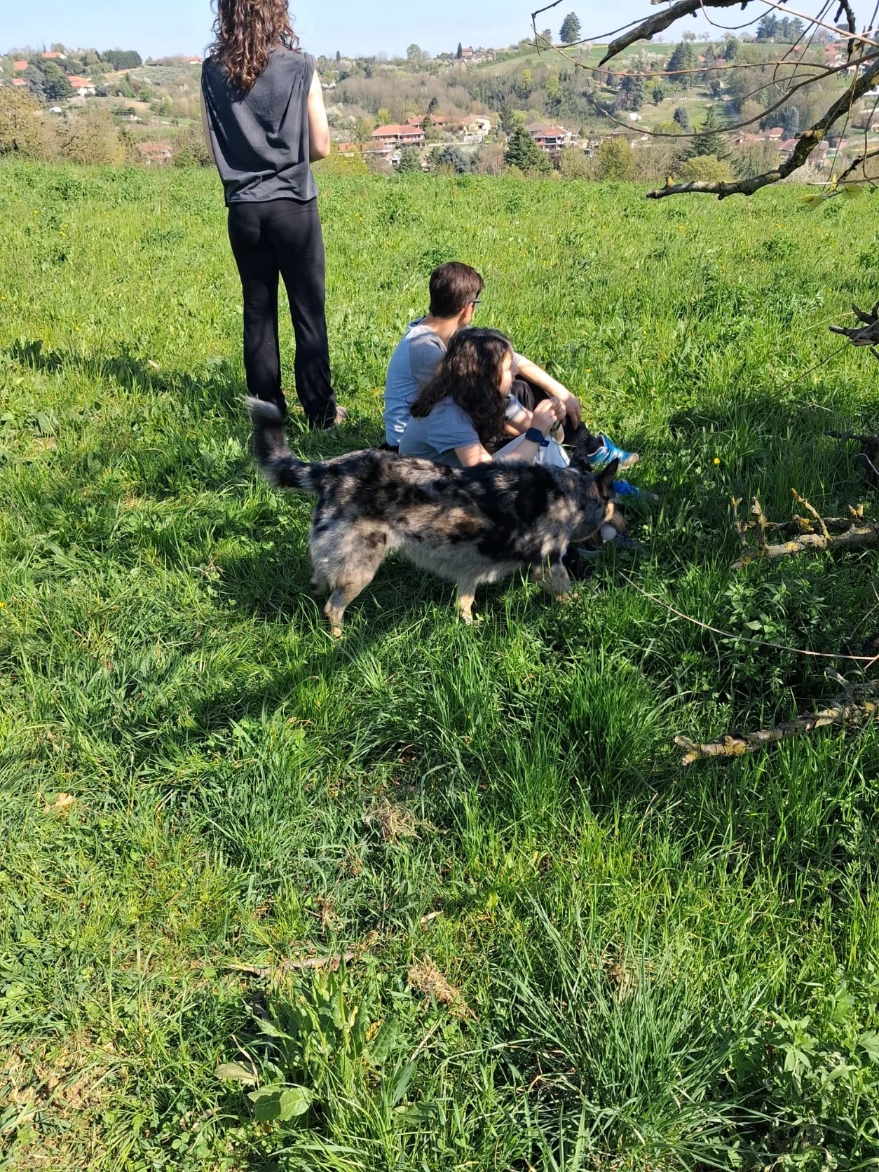 image-4