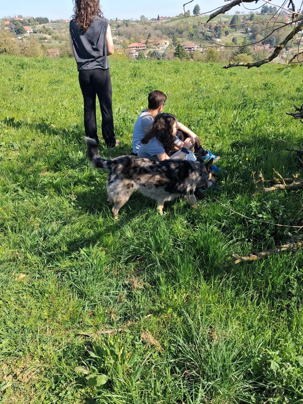 image-4