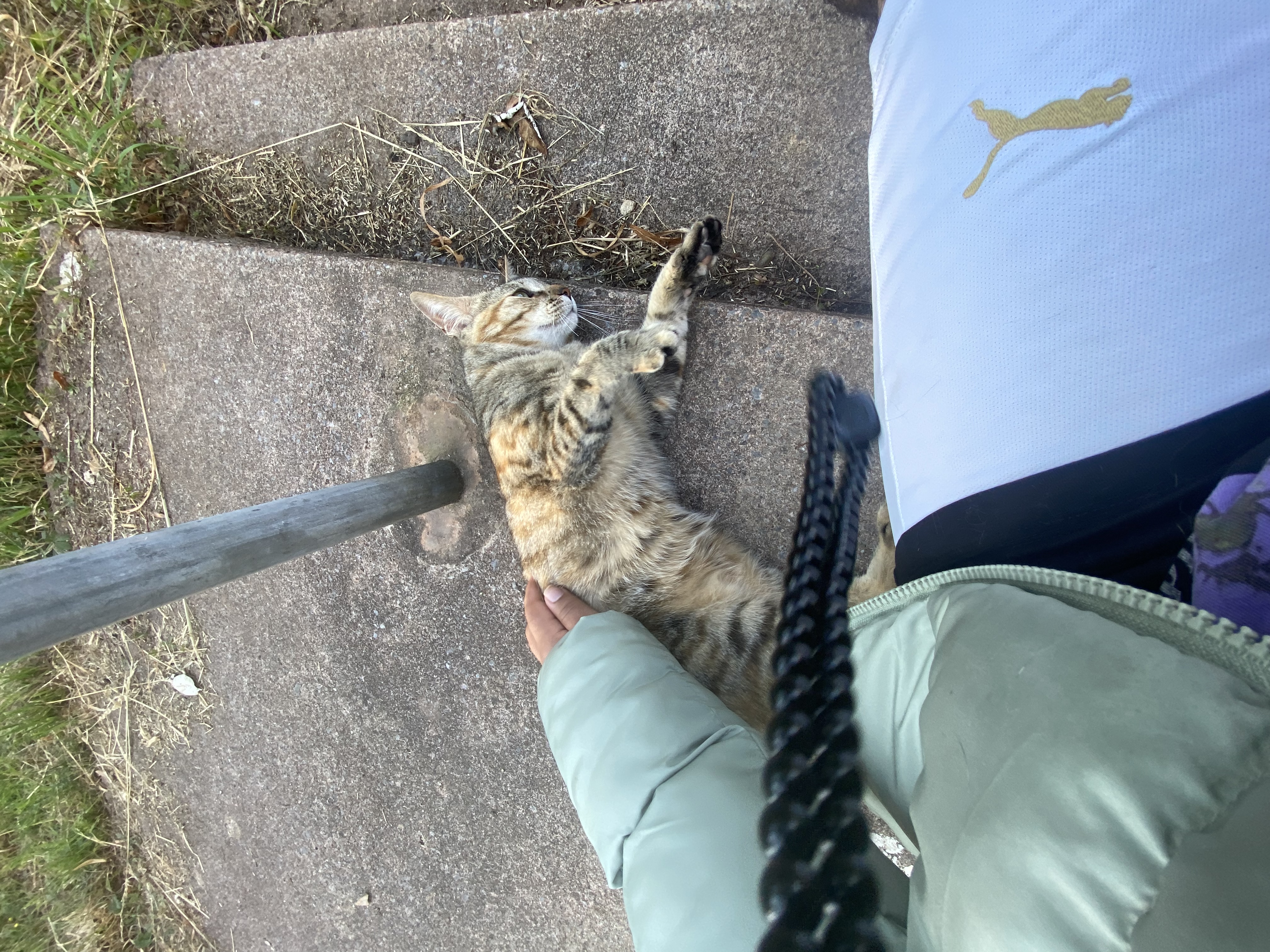 image-6