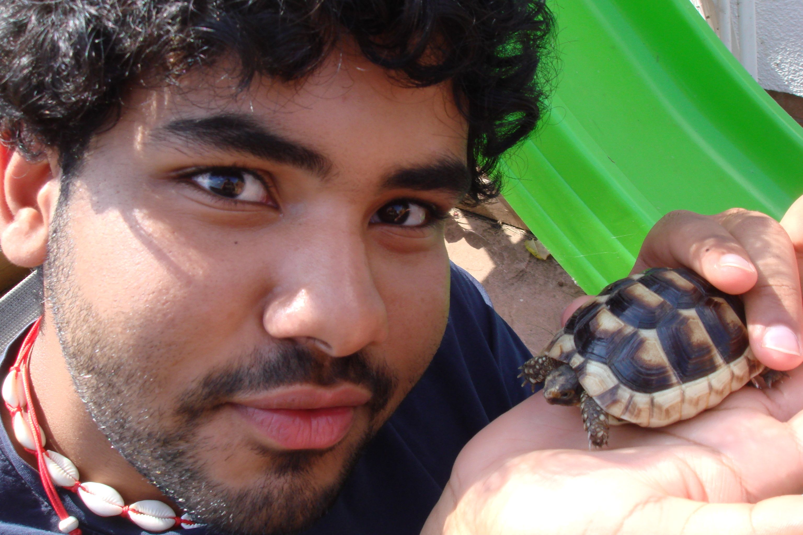 image-2