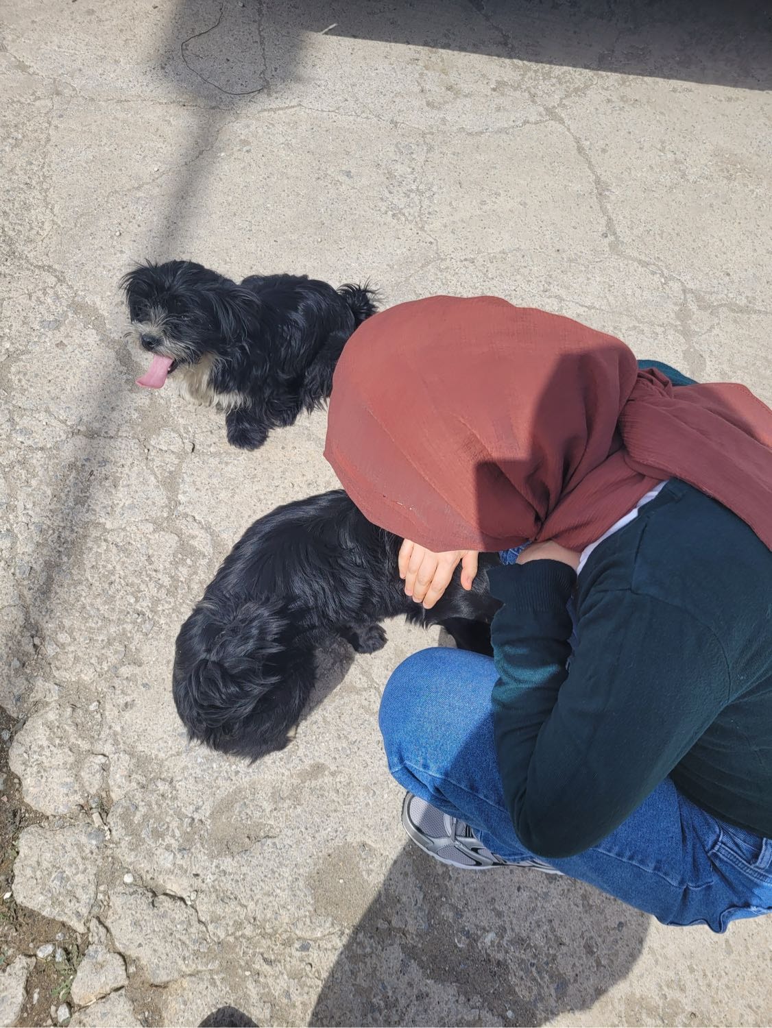 image-4