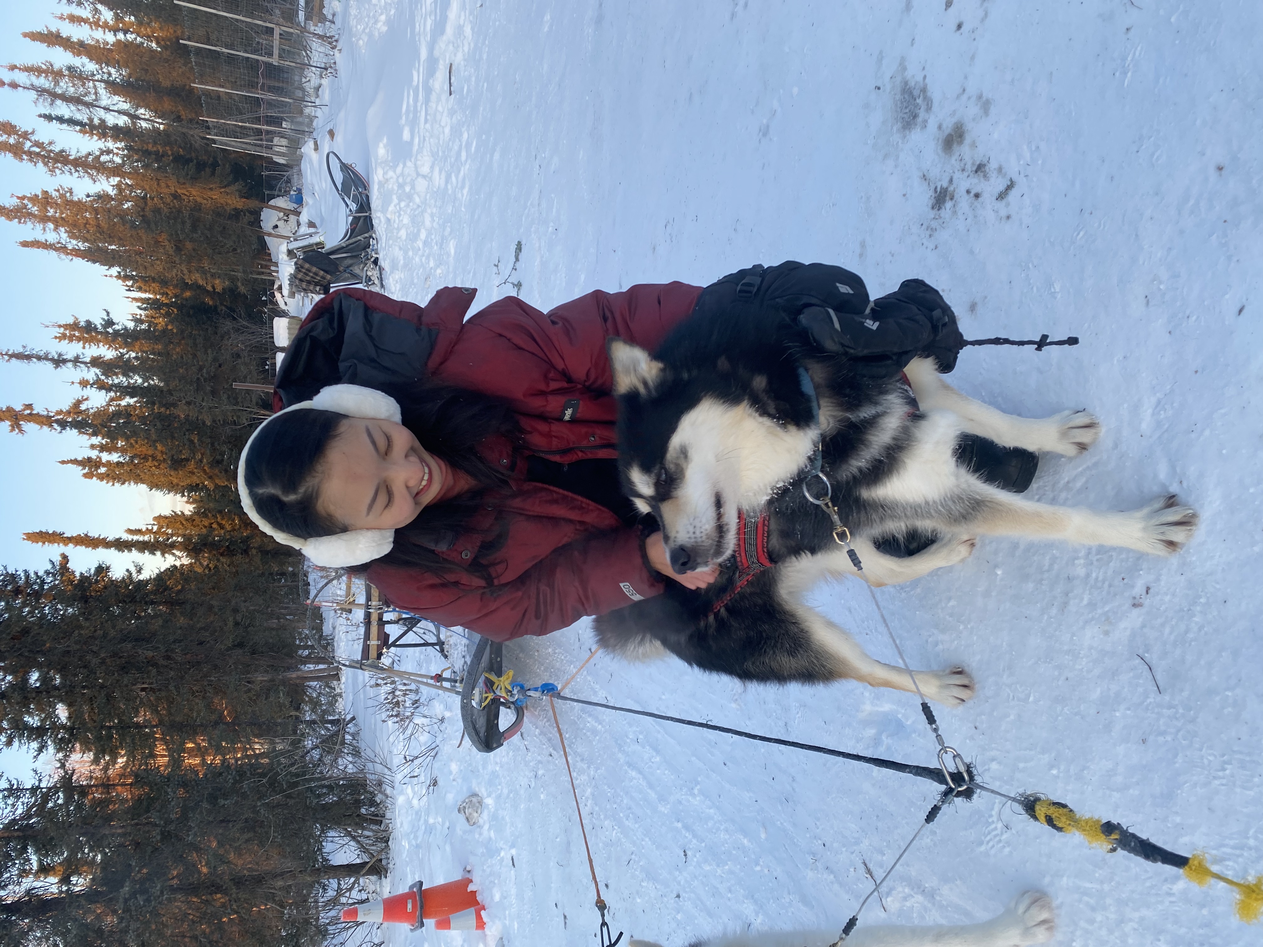 image-7