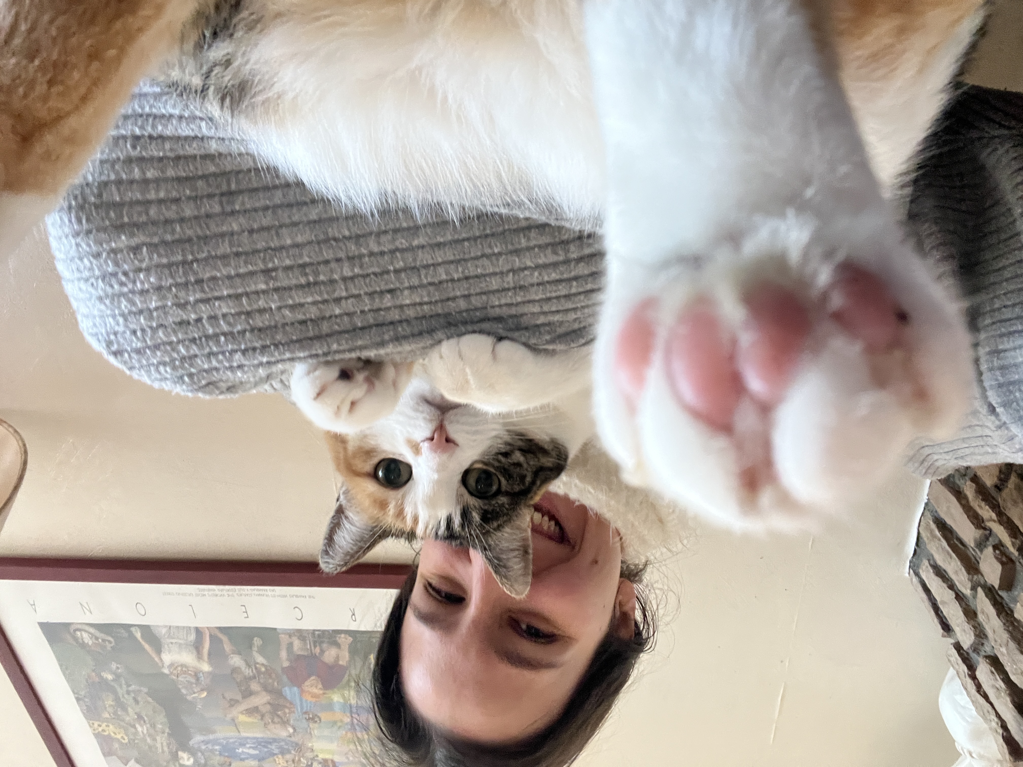 image-5