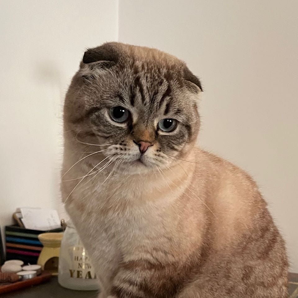 Pablo