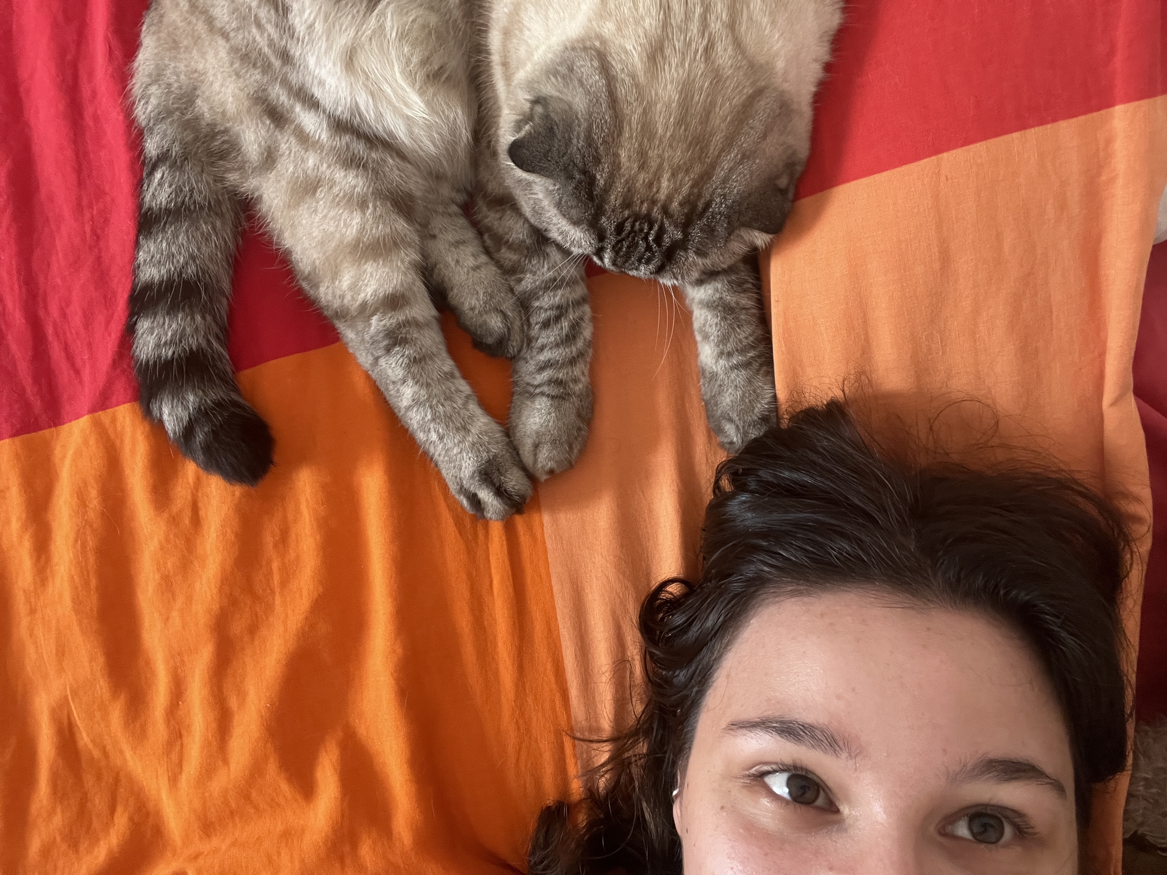 image-7
