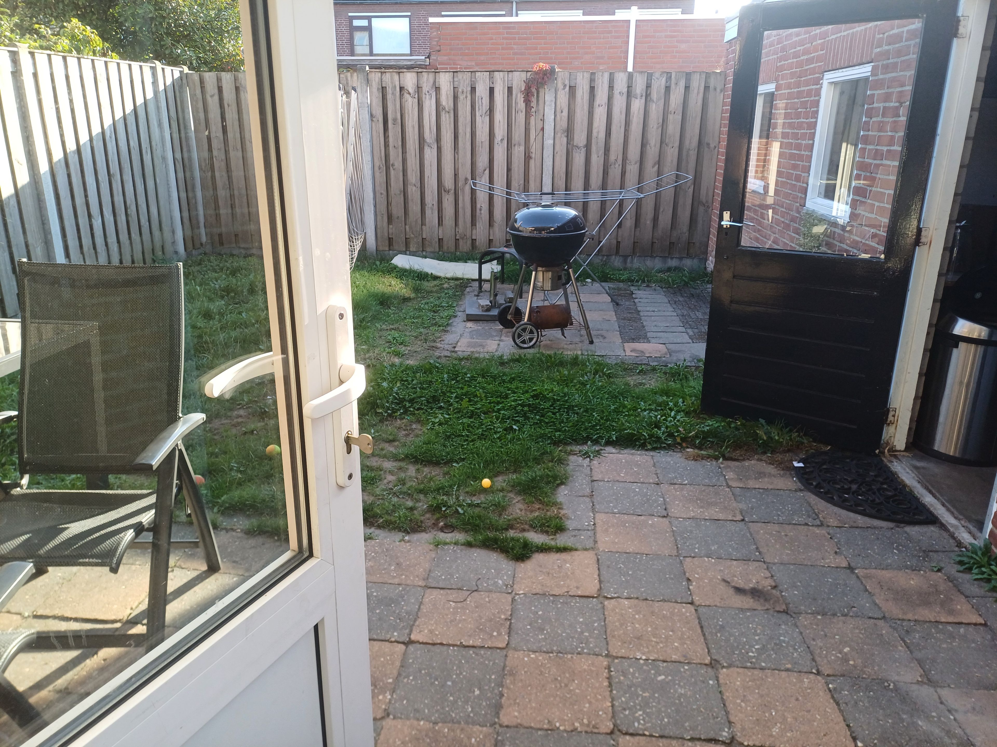 image-20