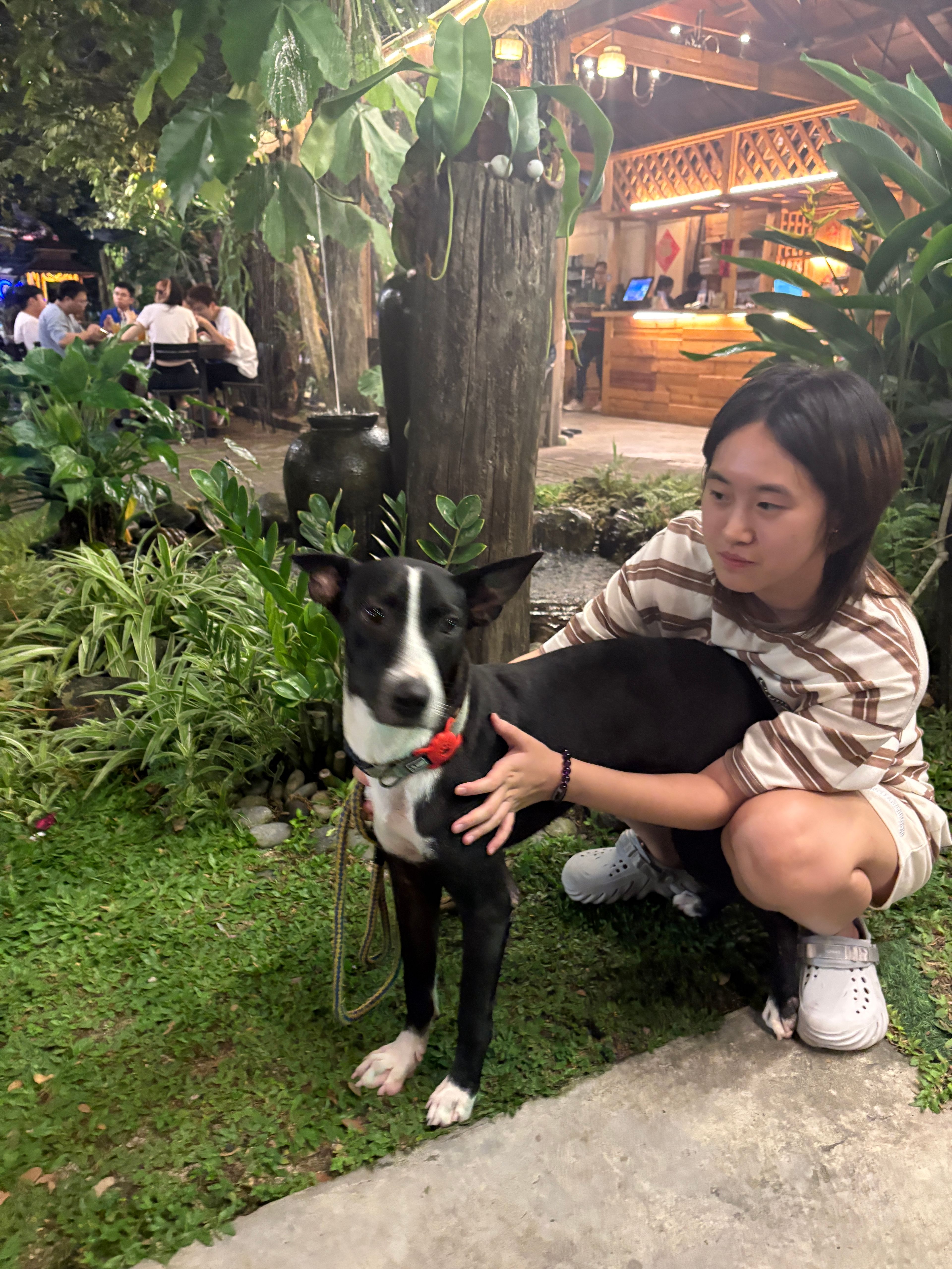 image-20