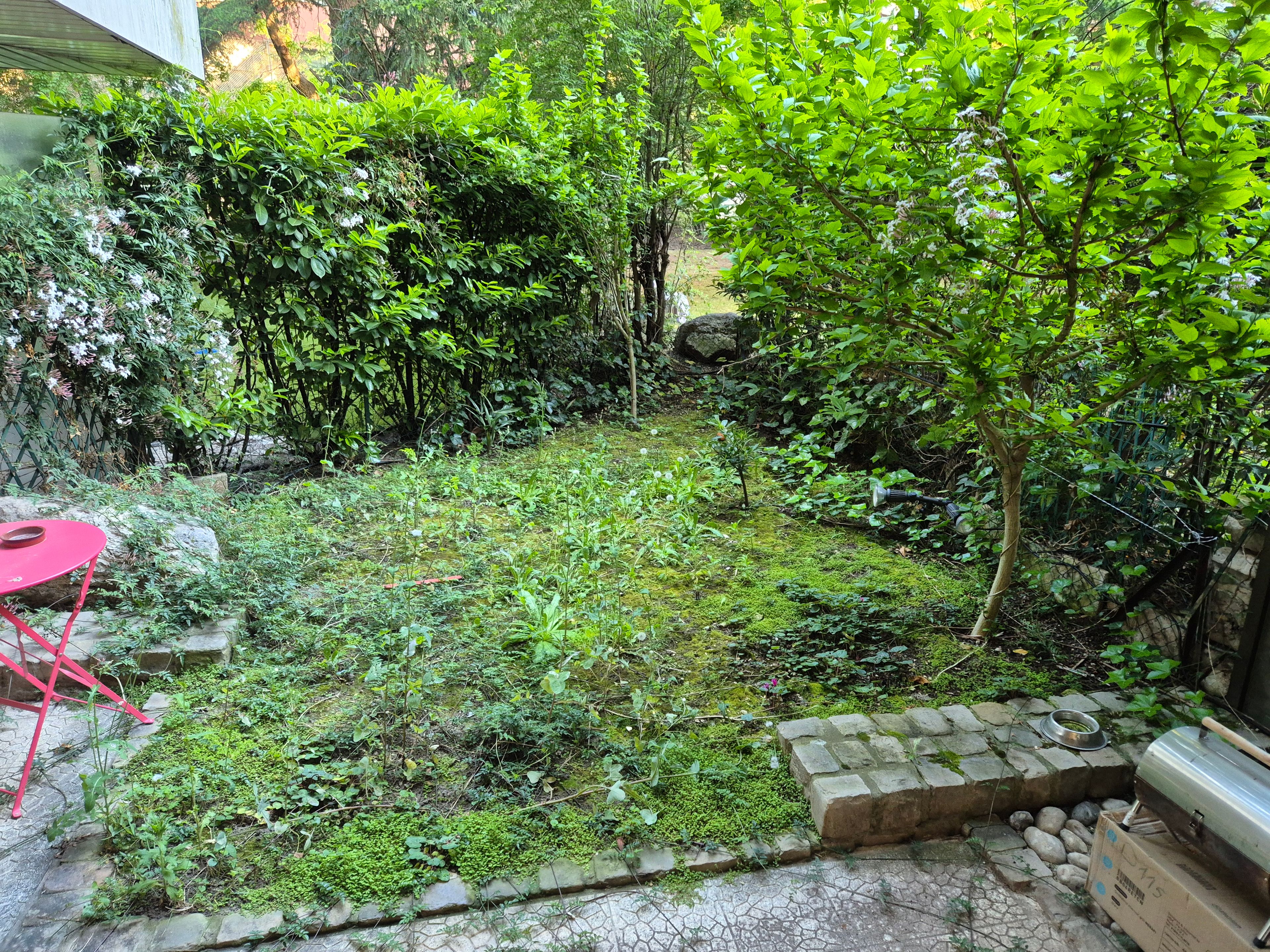 image-45