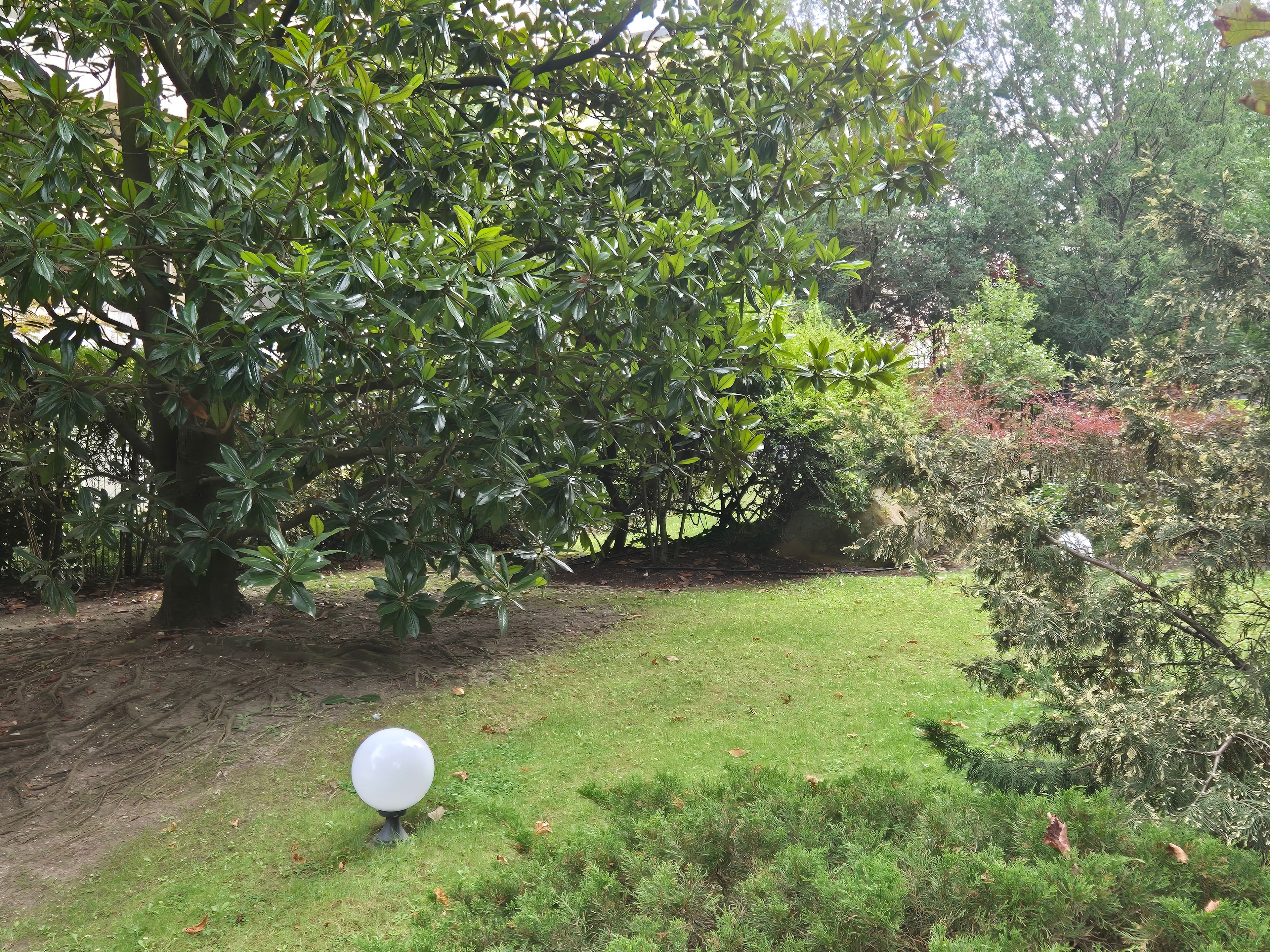 image-37