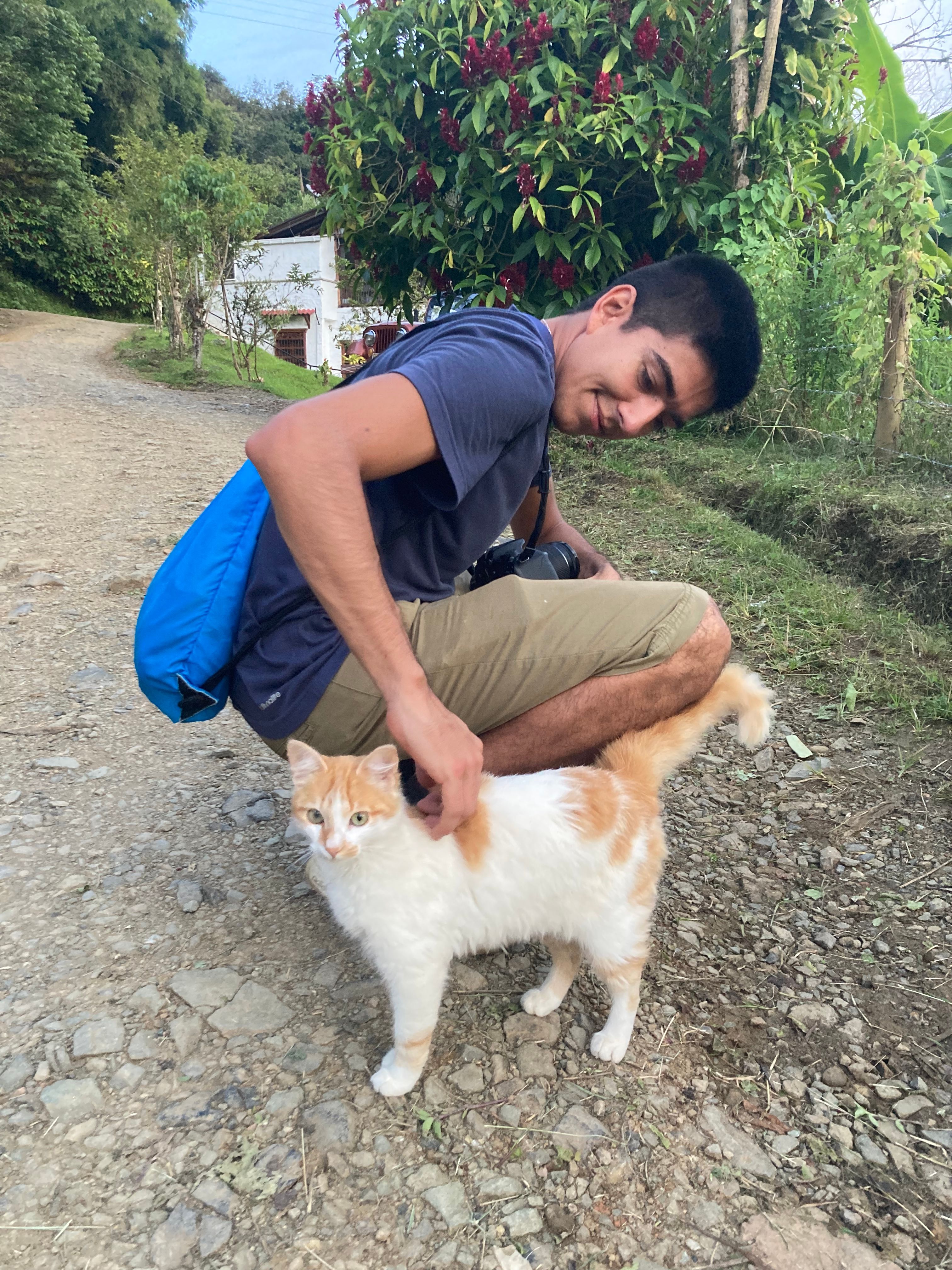 image-6