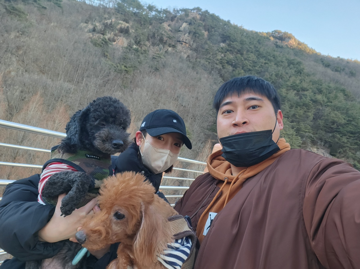 image-4