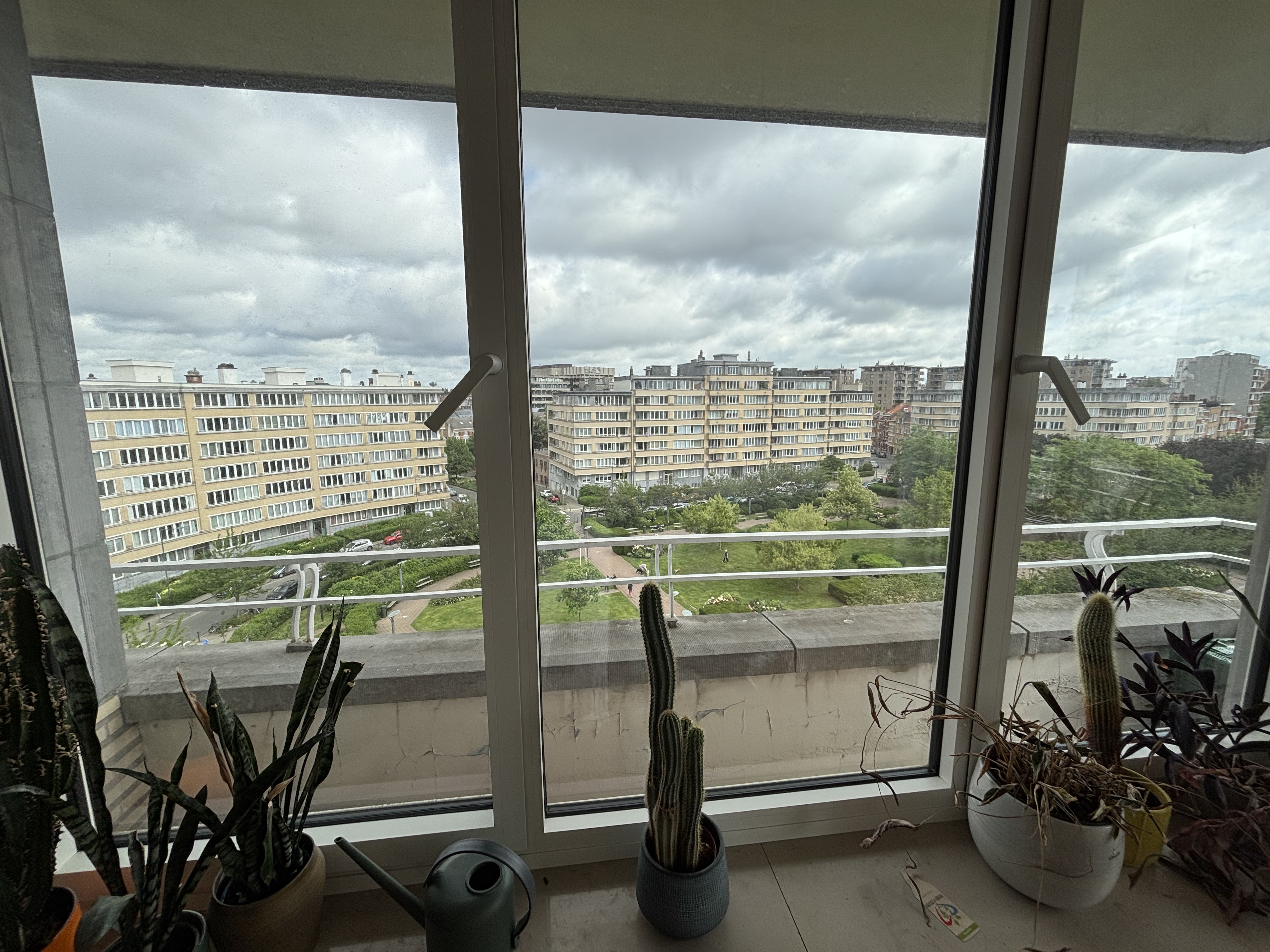 image-9