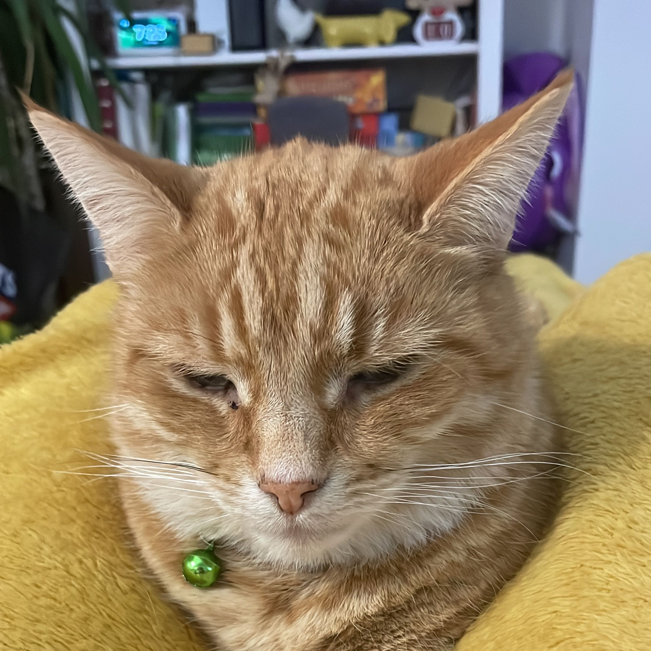 Smudge