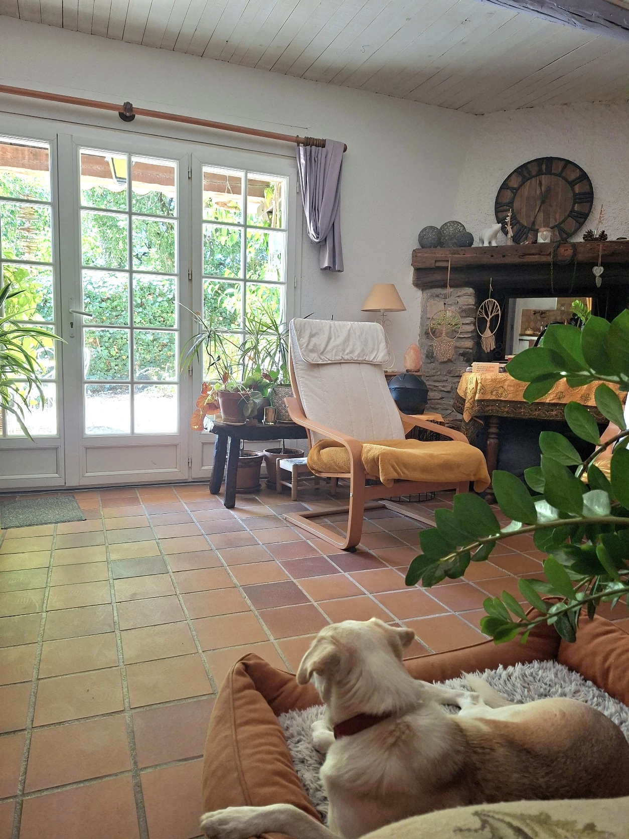 image-18