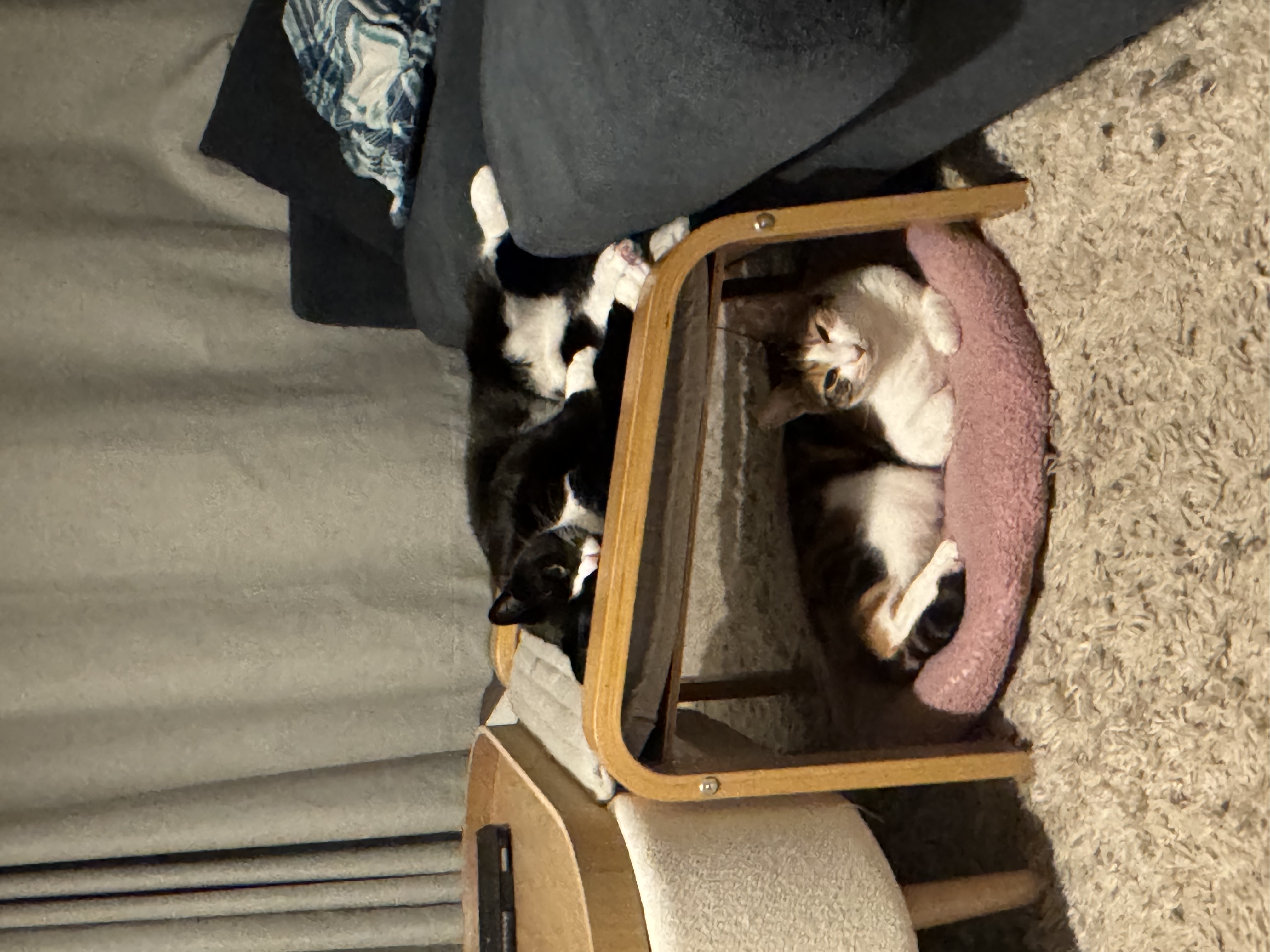 image-8