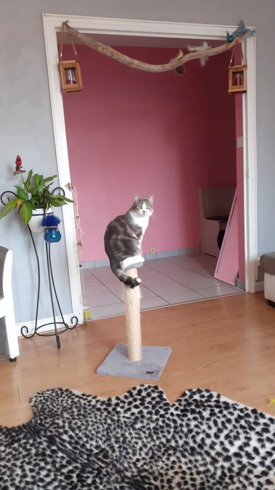 image-17