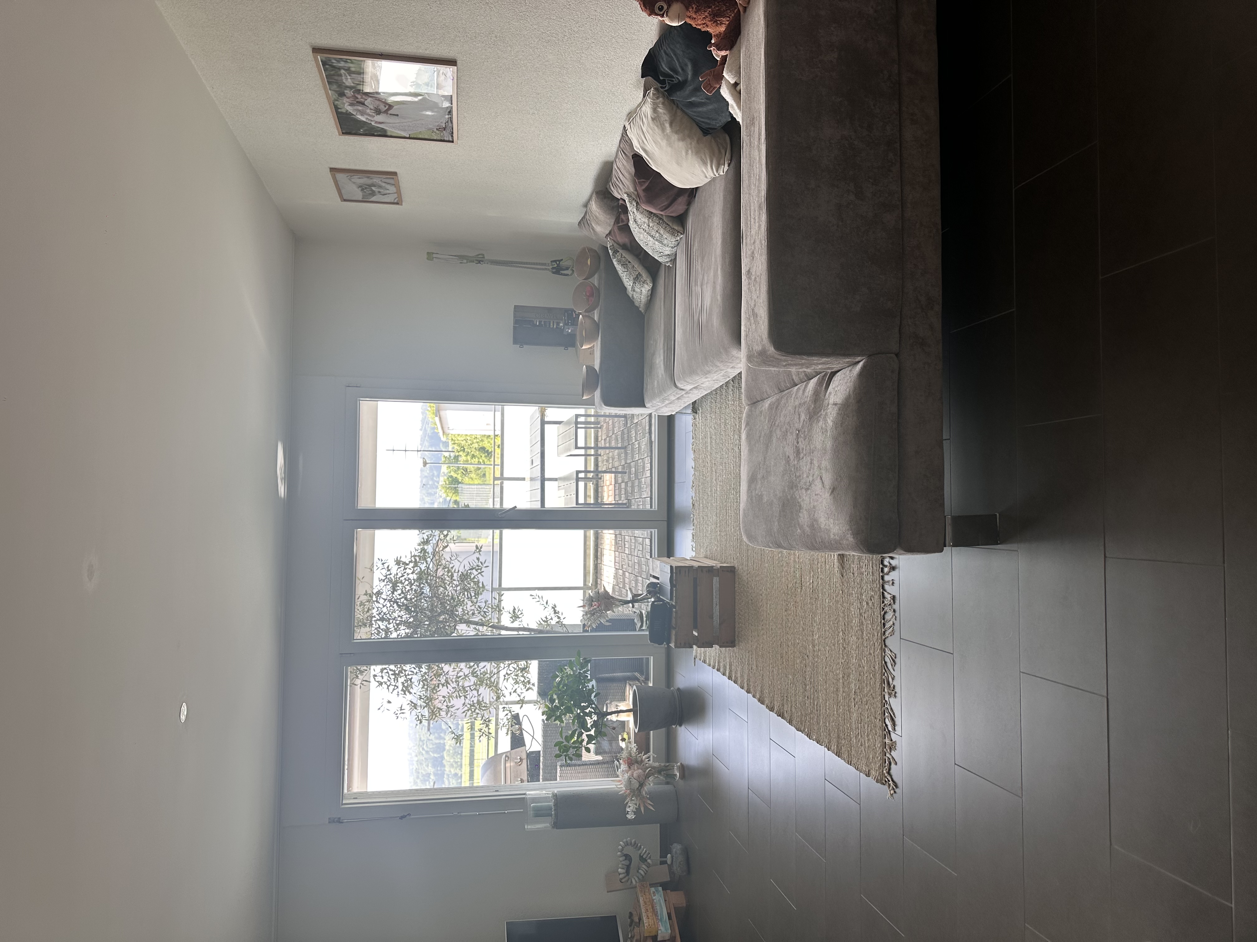 image-14