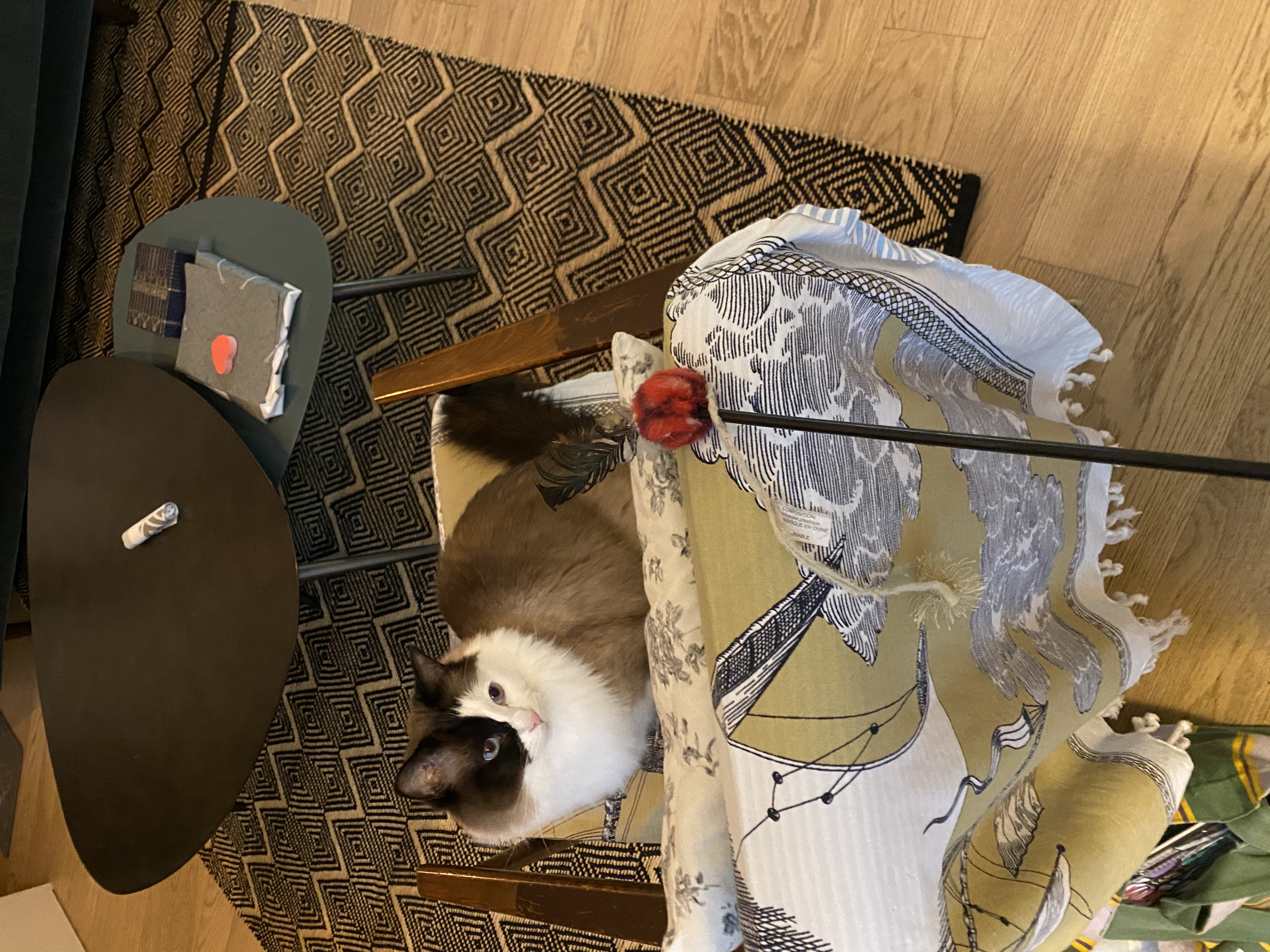 image-12