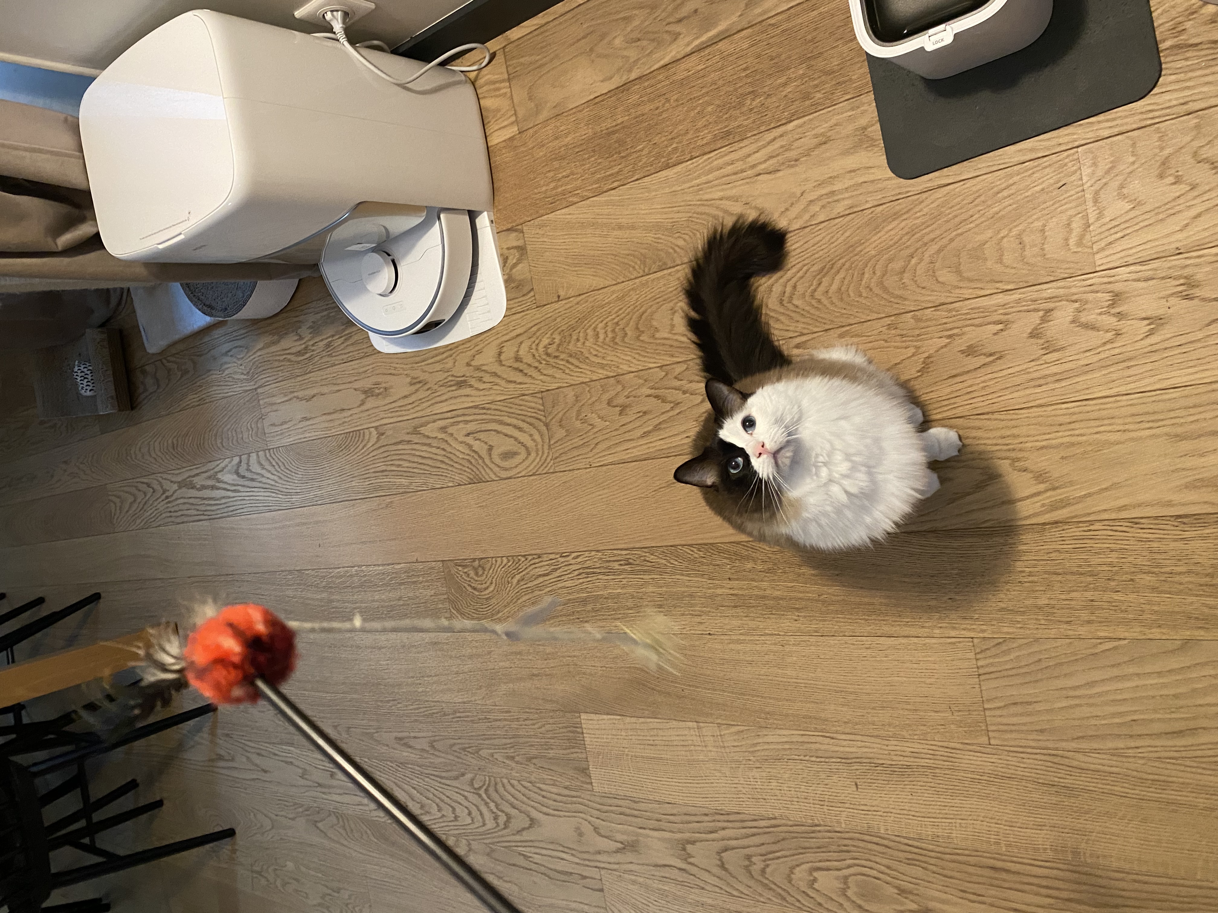image-13