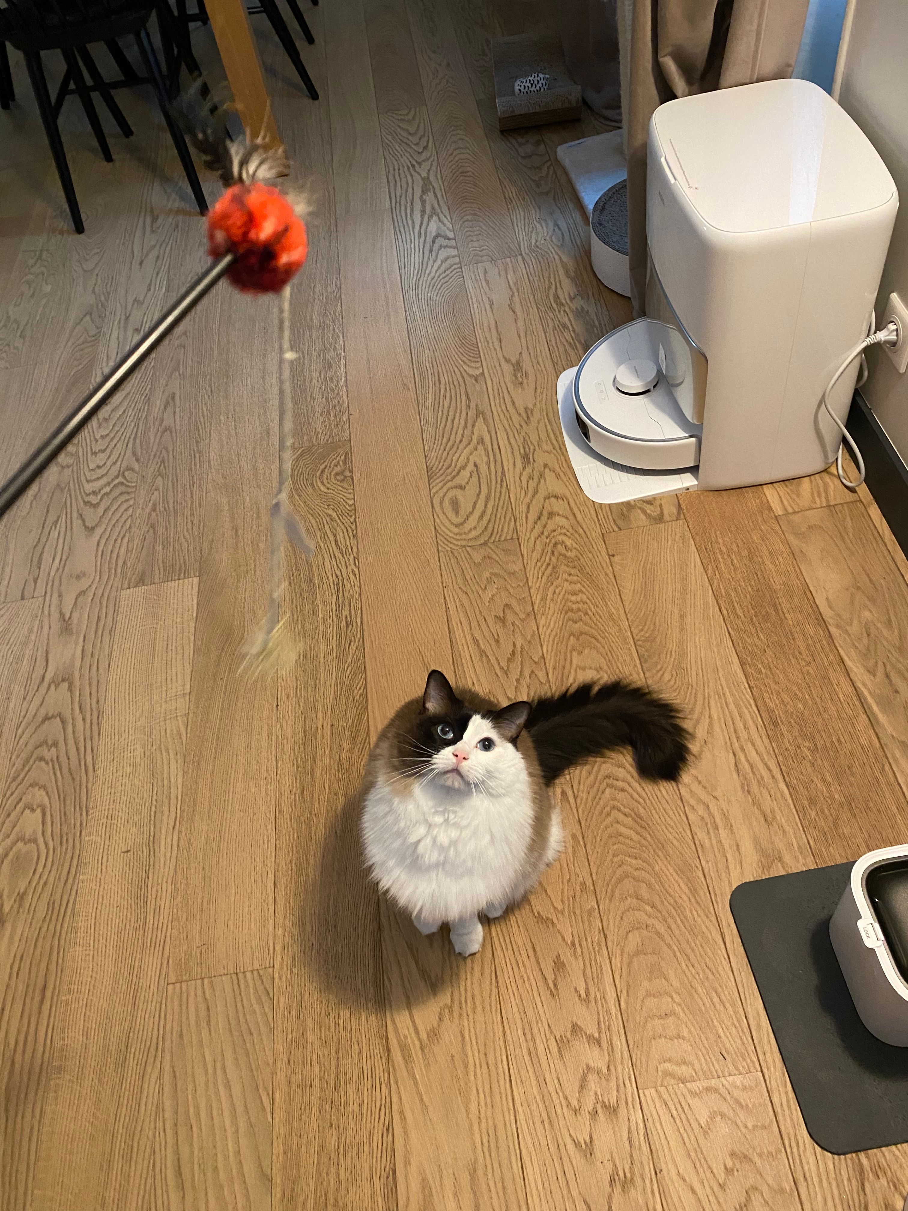 image-13