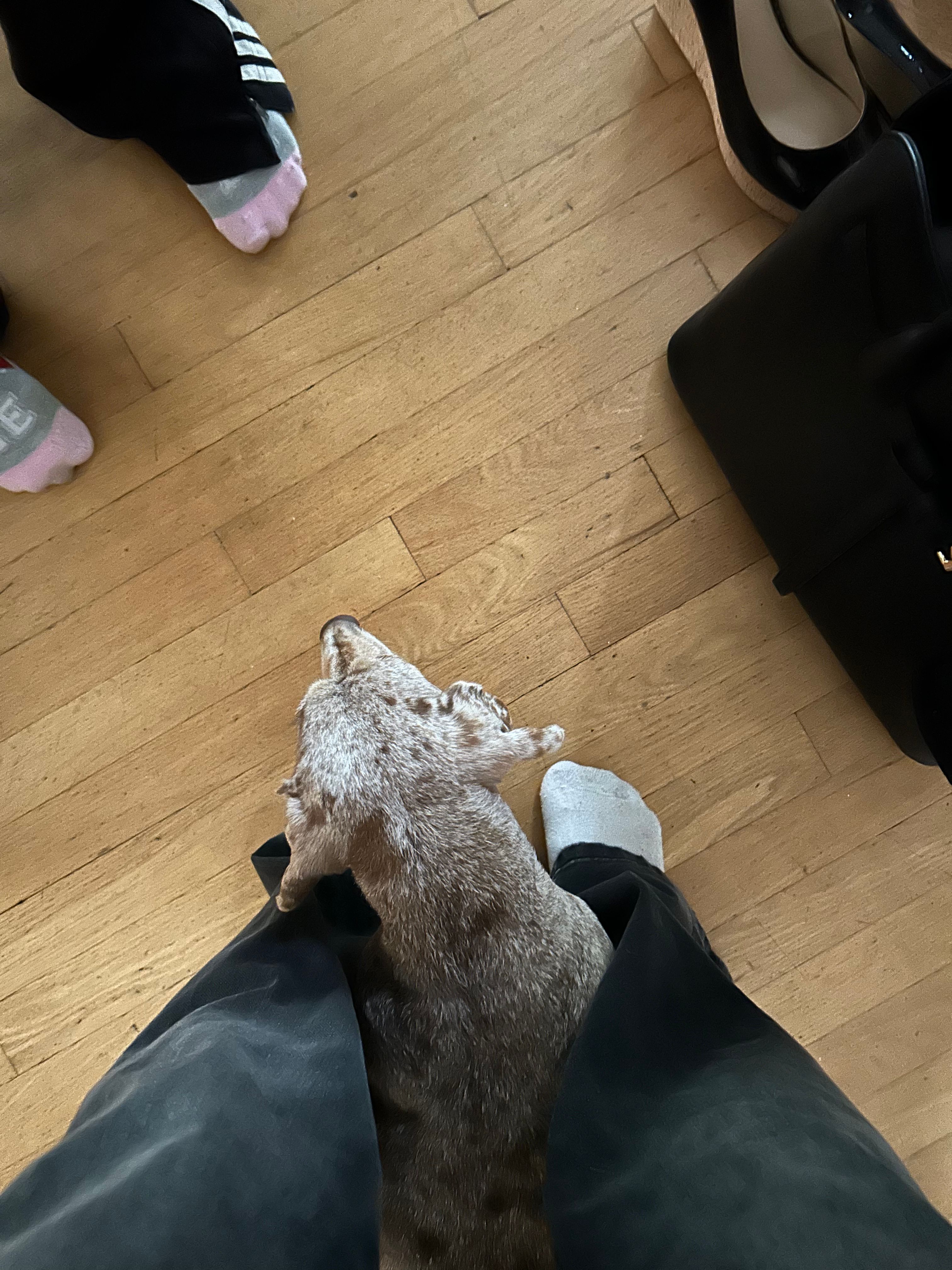 image-4
