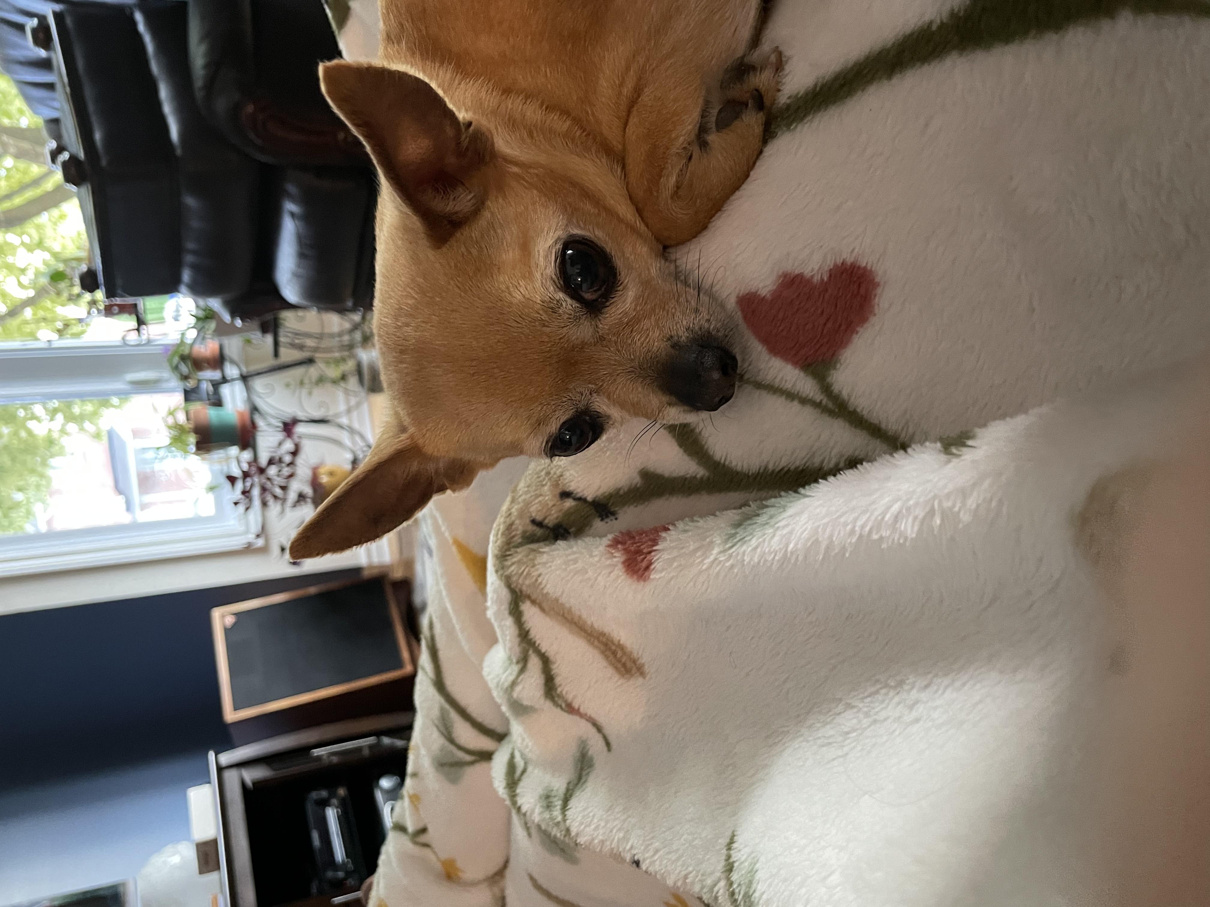 image-6