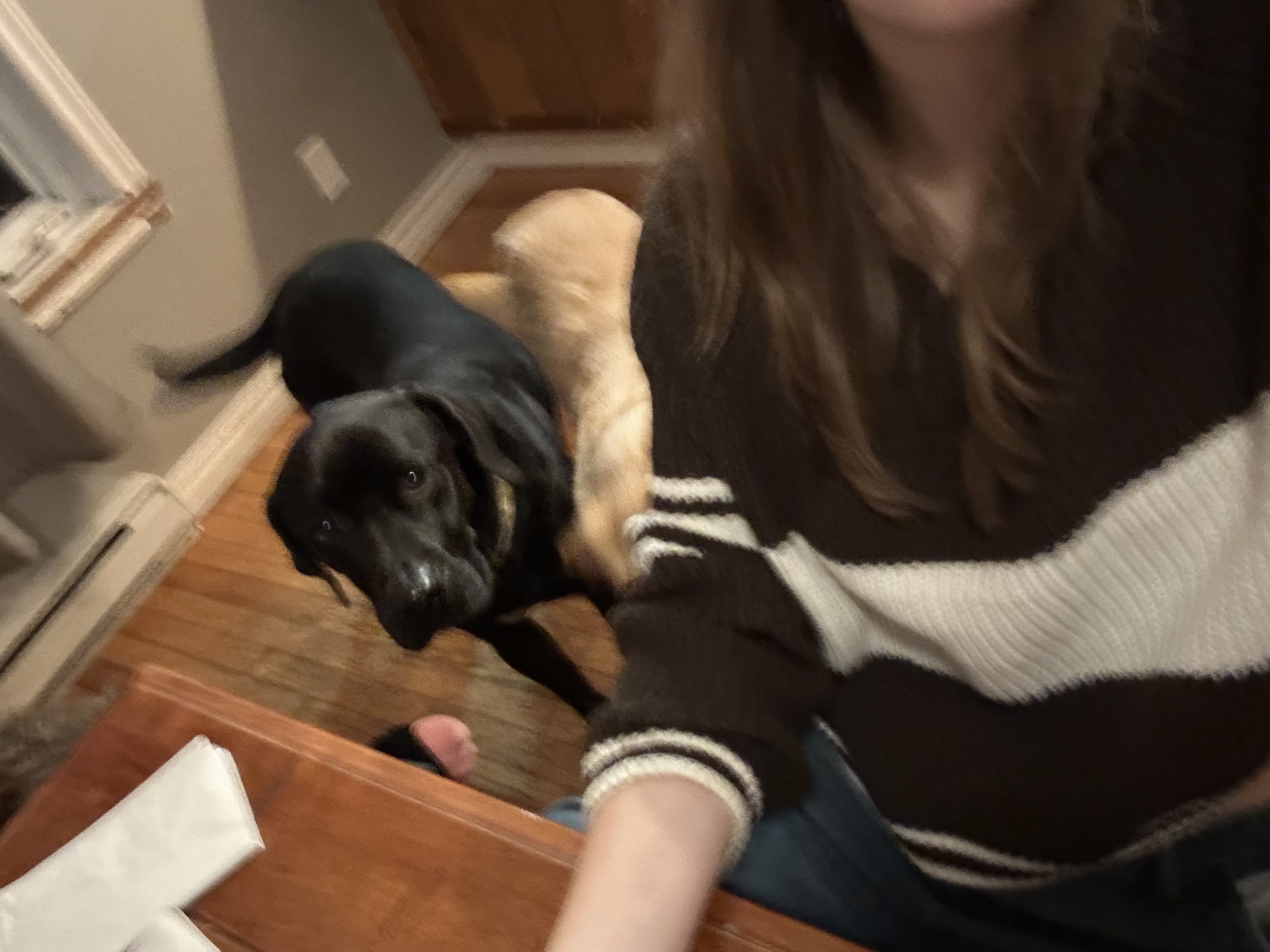 image-7