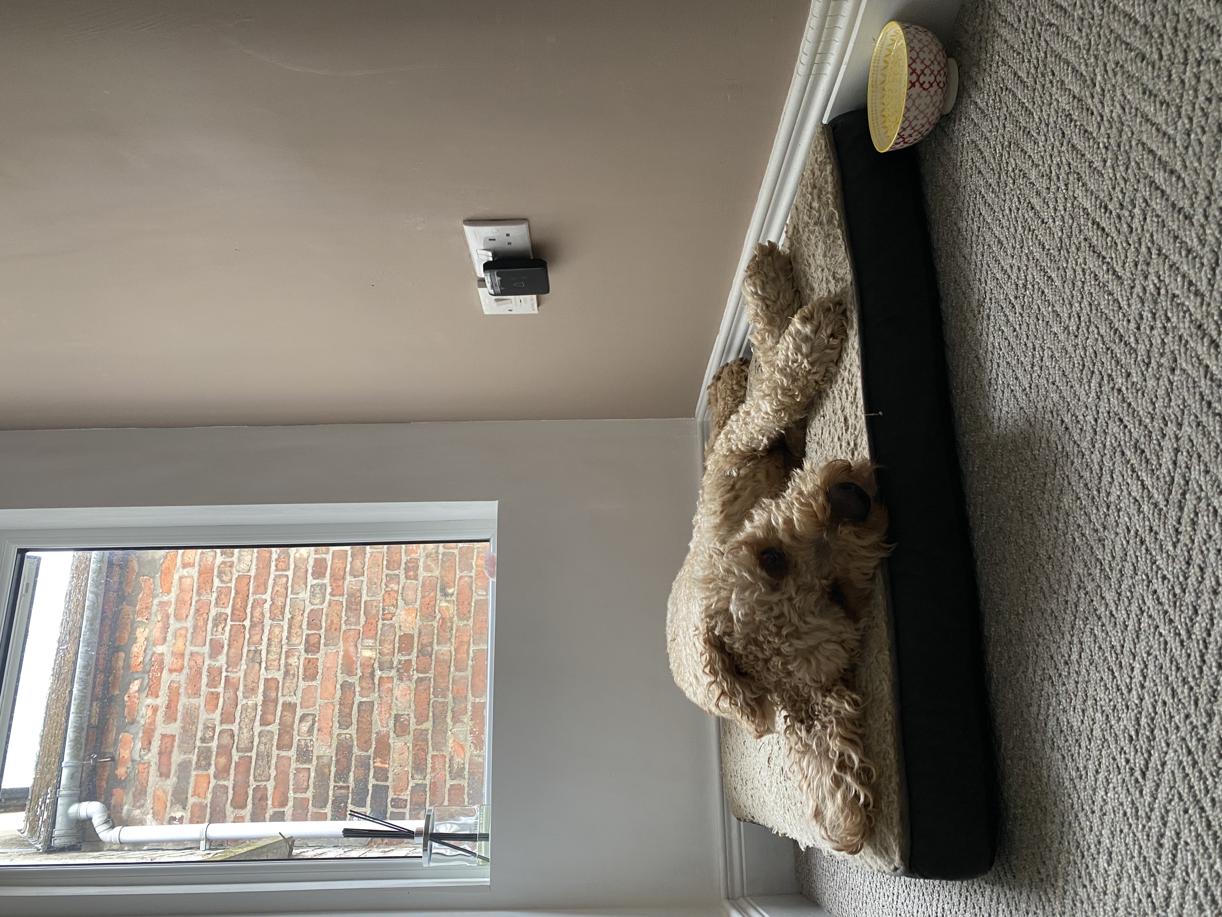 image-13