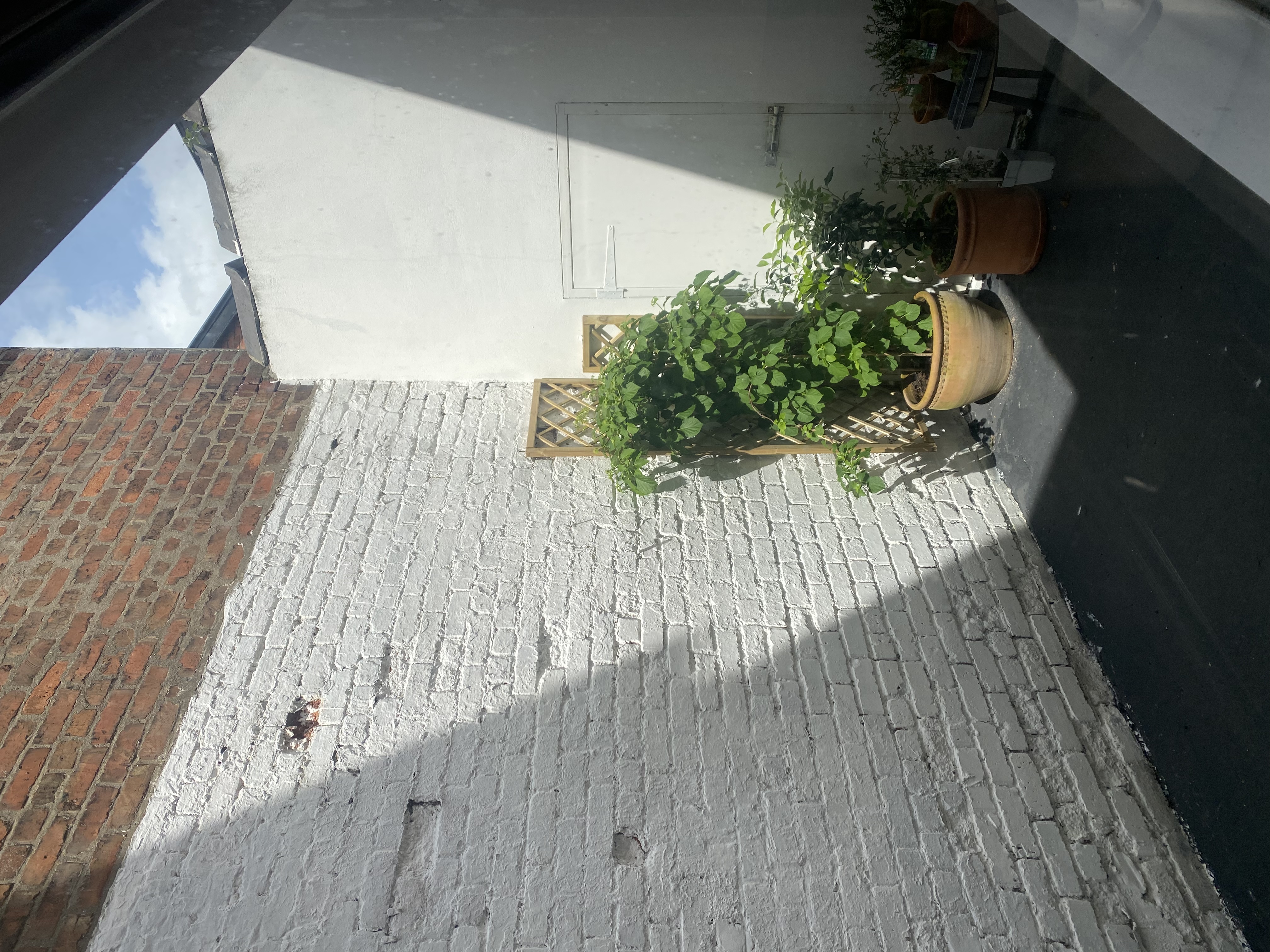 image-15