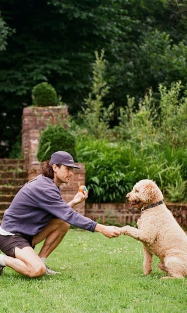 image-0